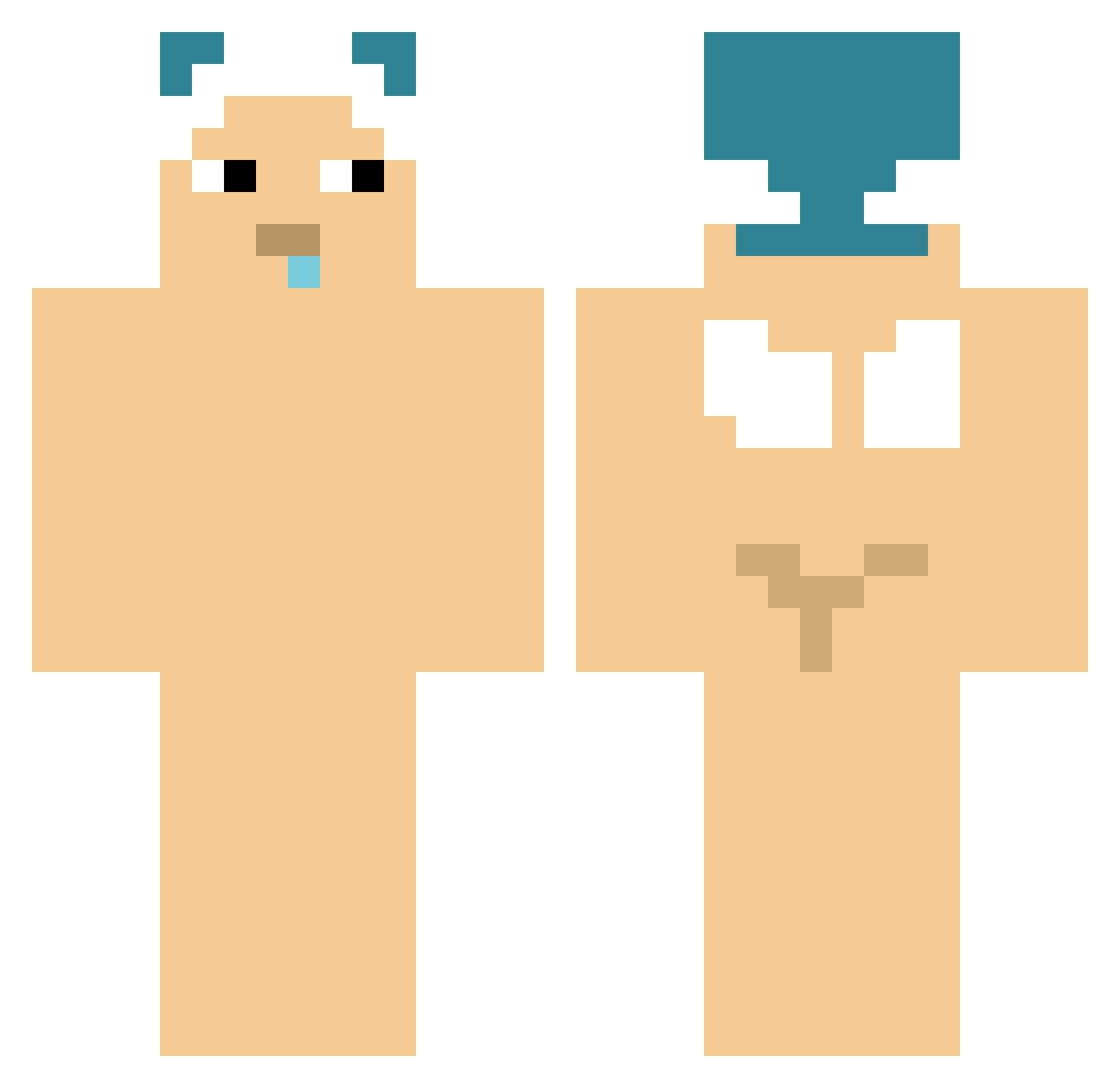 sexypresident Minecraft skin, front and back view