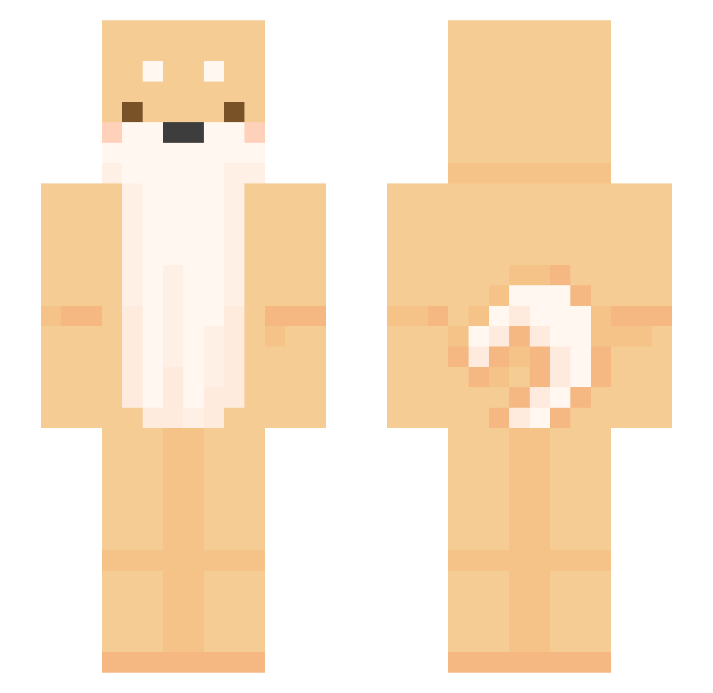 ZNG1145 Minecraft skin, front and back view