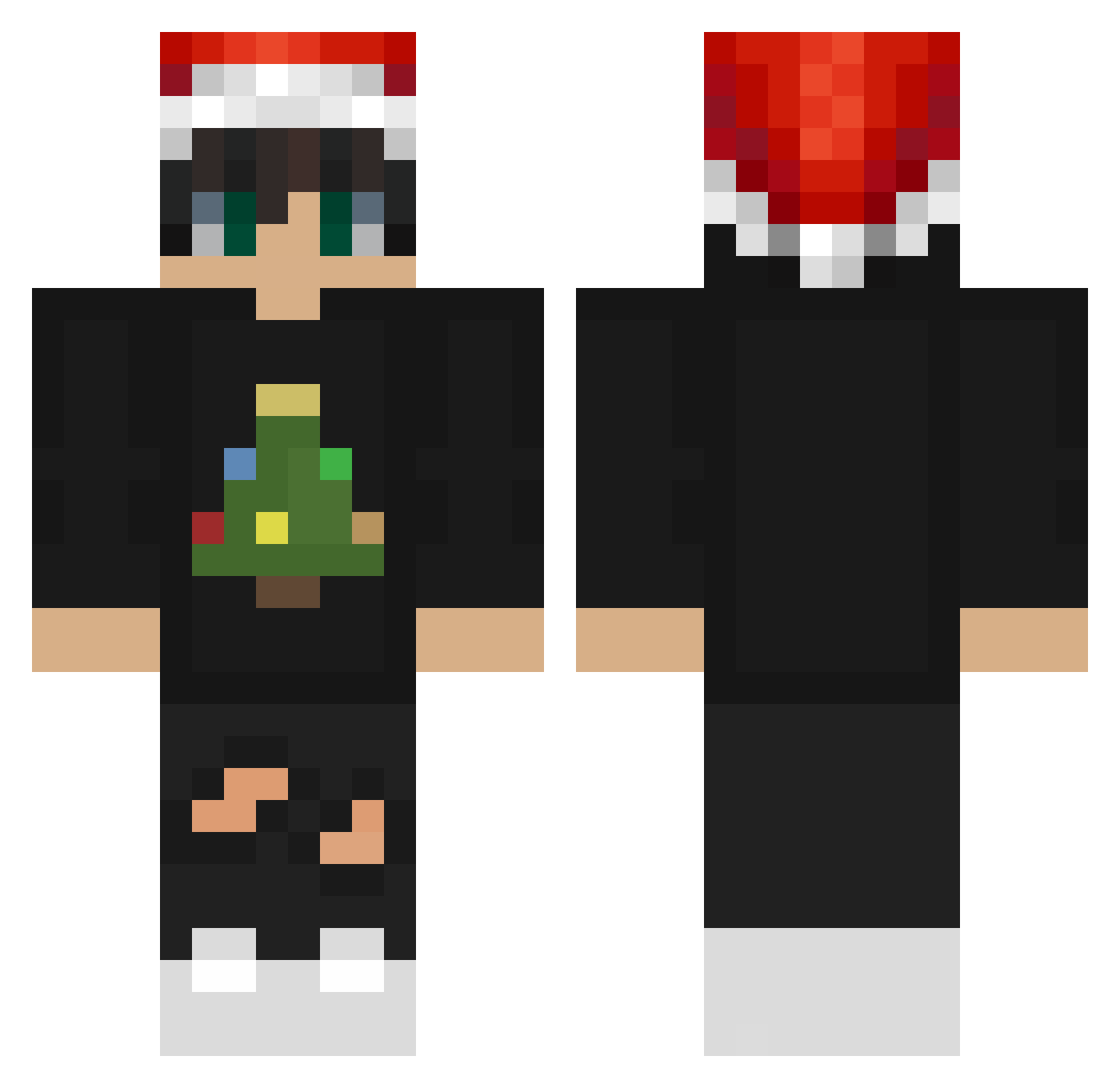 Zedanite Minecraft skin, front and back view
