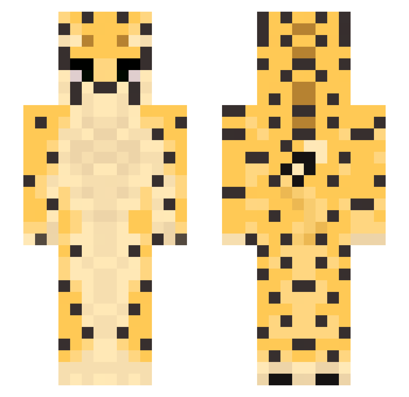 ilxwh0 Minecraft skin, front and back view