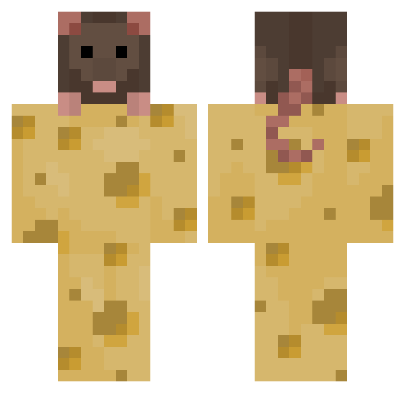Dragon_Fruity Minecraft skin, front and back view