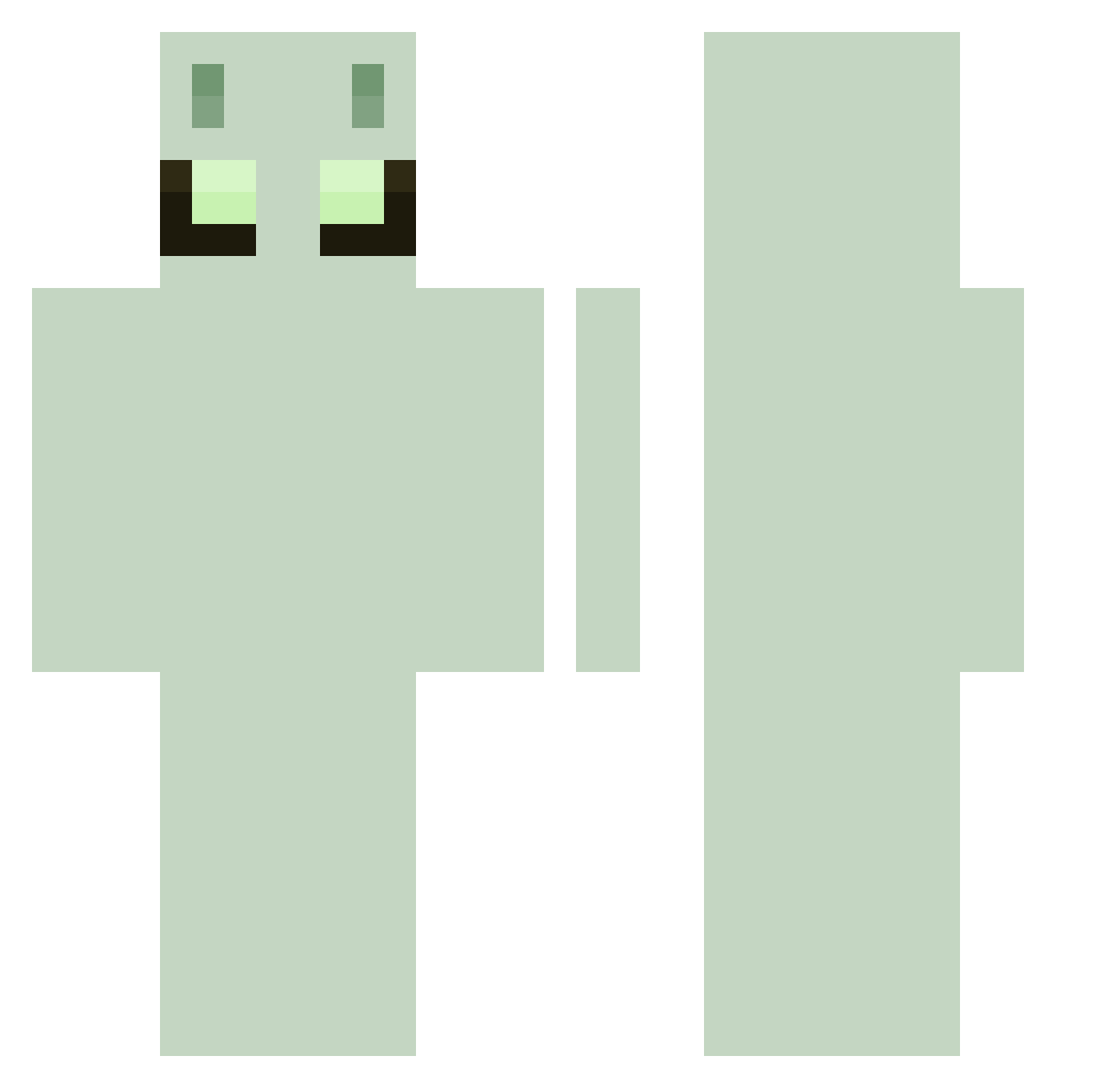 S0renRyge Minecraft skin, front and back view