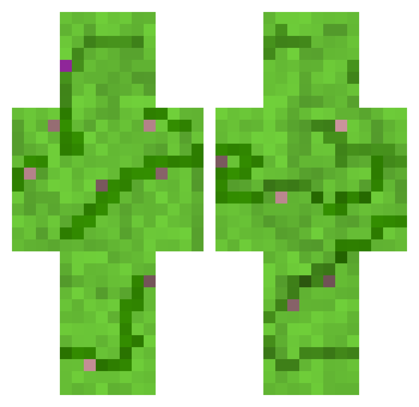 Sceneries Minecraft skin, front and back view