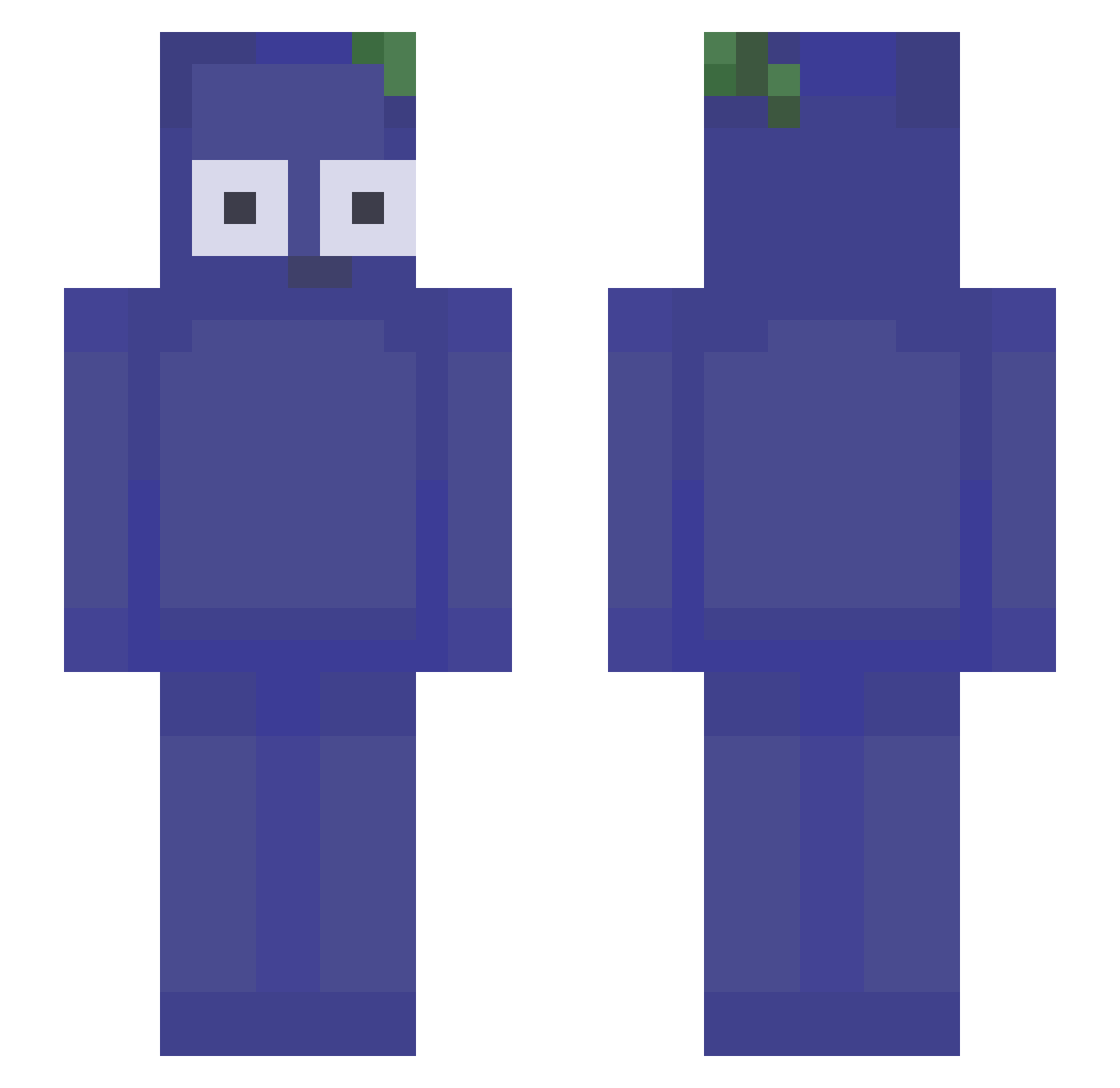 Reniiux Minecraft skin, front and back view