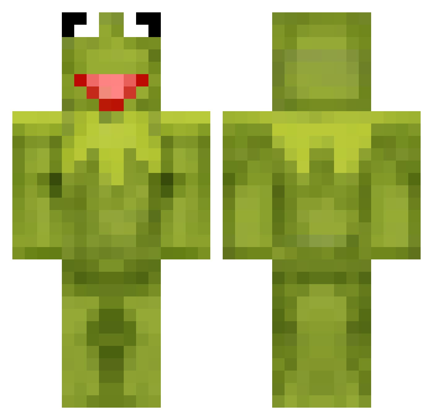 ssanderr4 Minecraft skin, front and back view