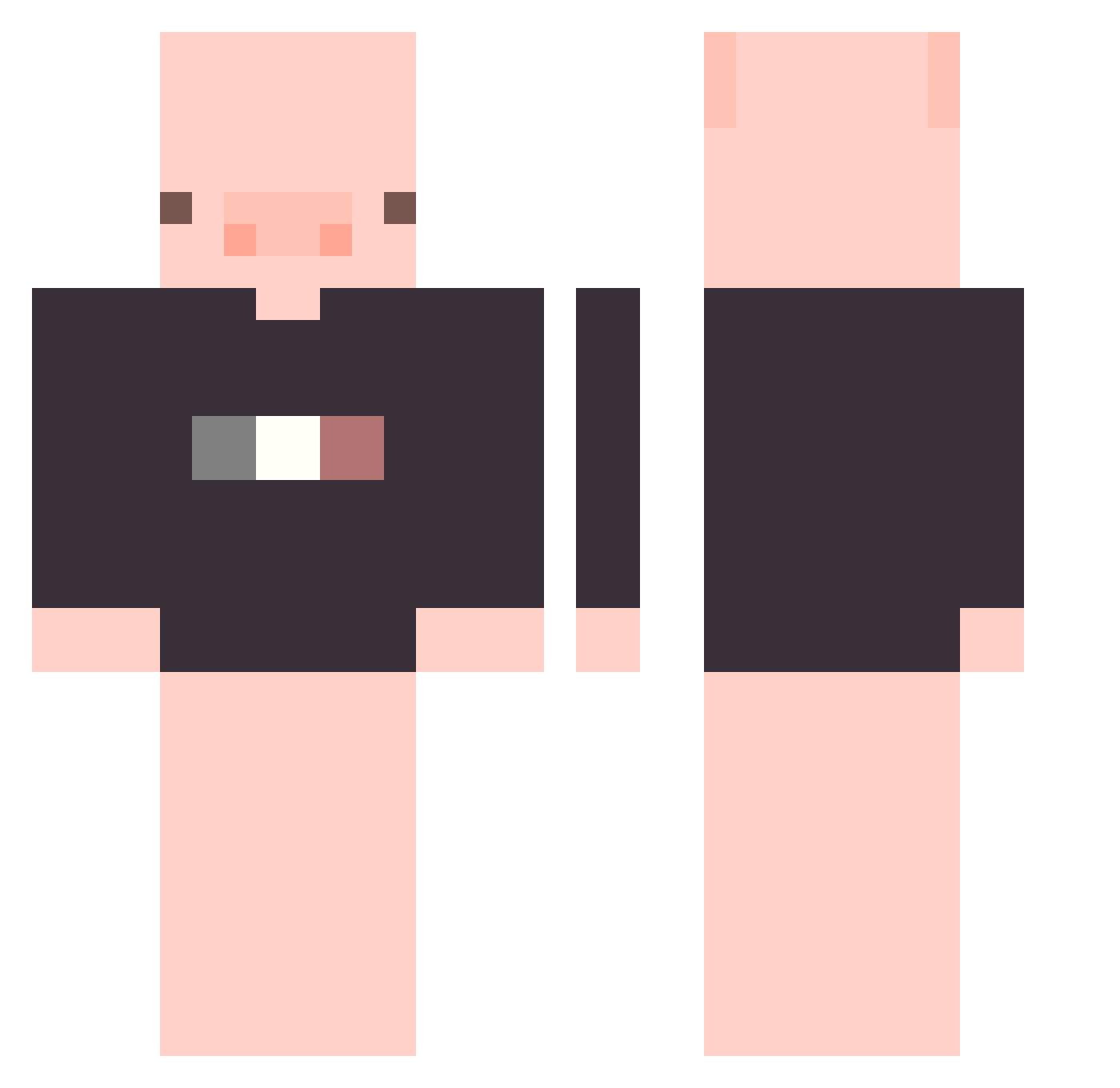 tegurit Minecraft skin, front and back view