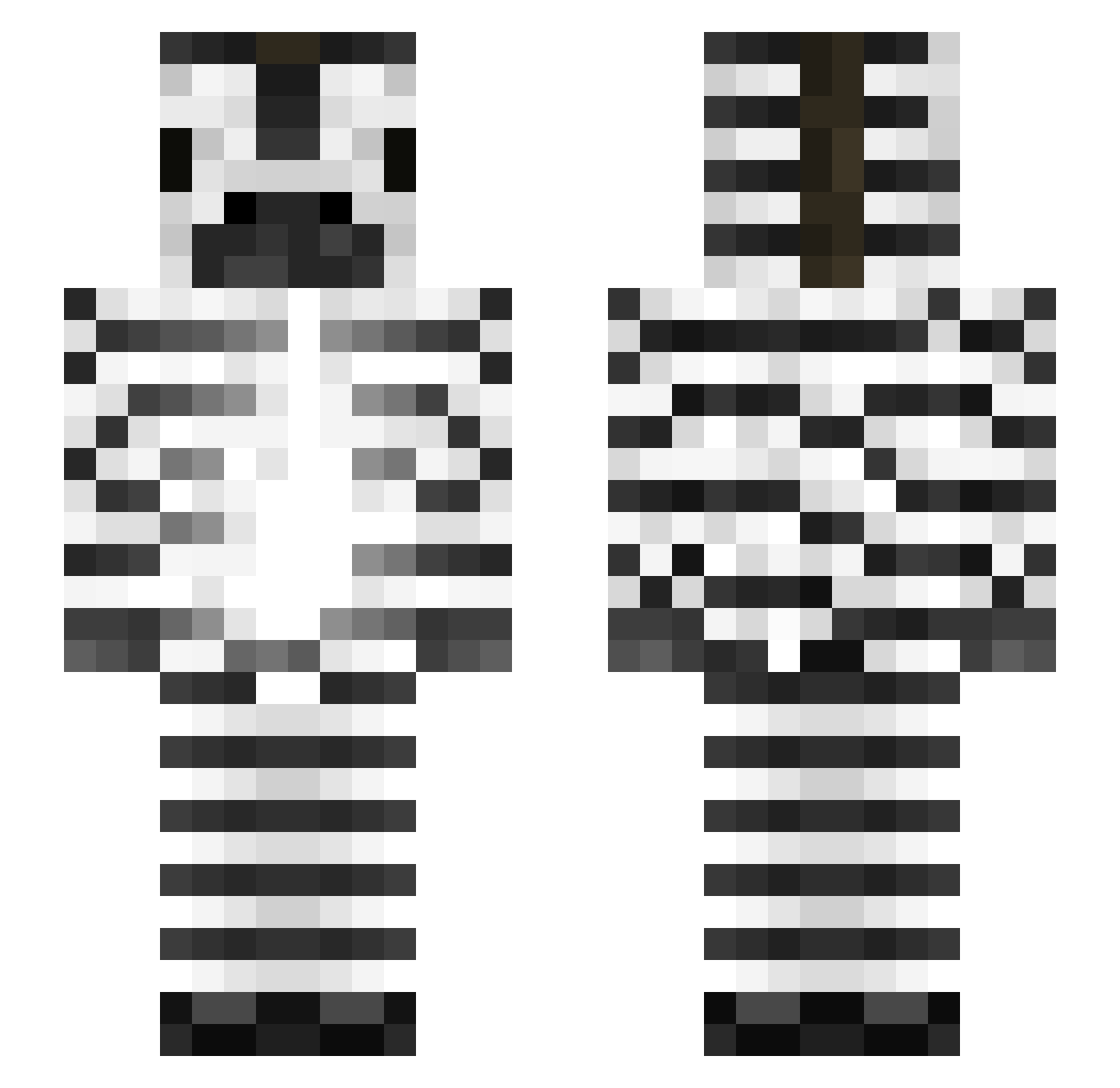 fyw Minecraft skin, front and back view