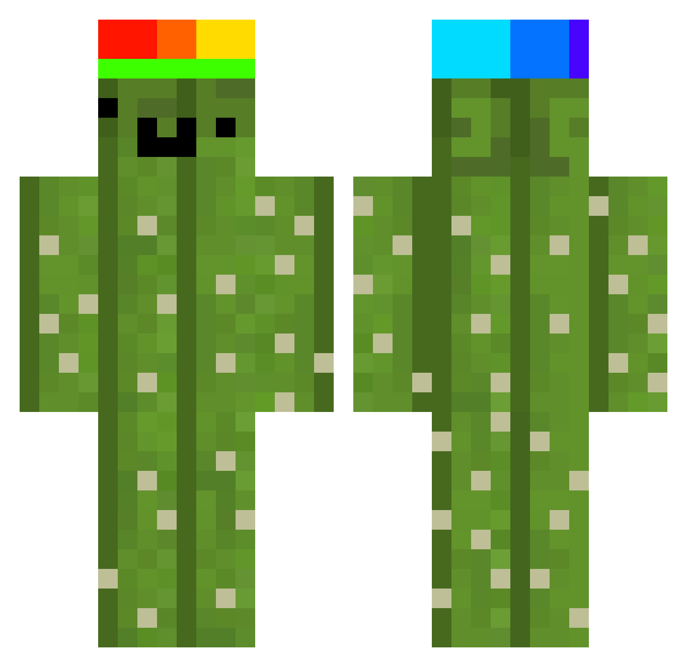 SquidShaw Minecraft skin, front and back view