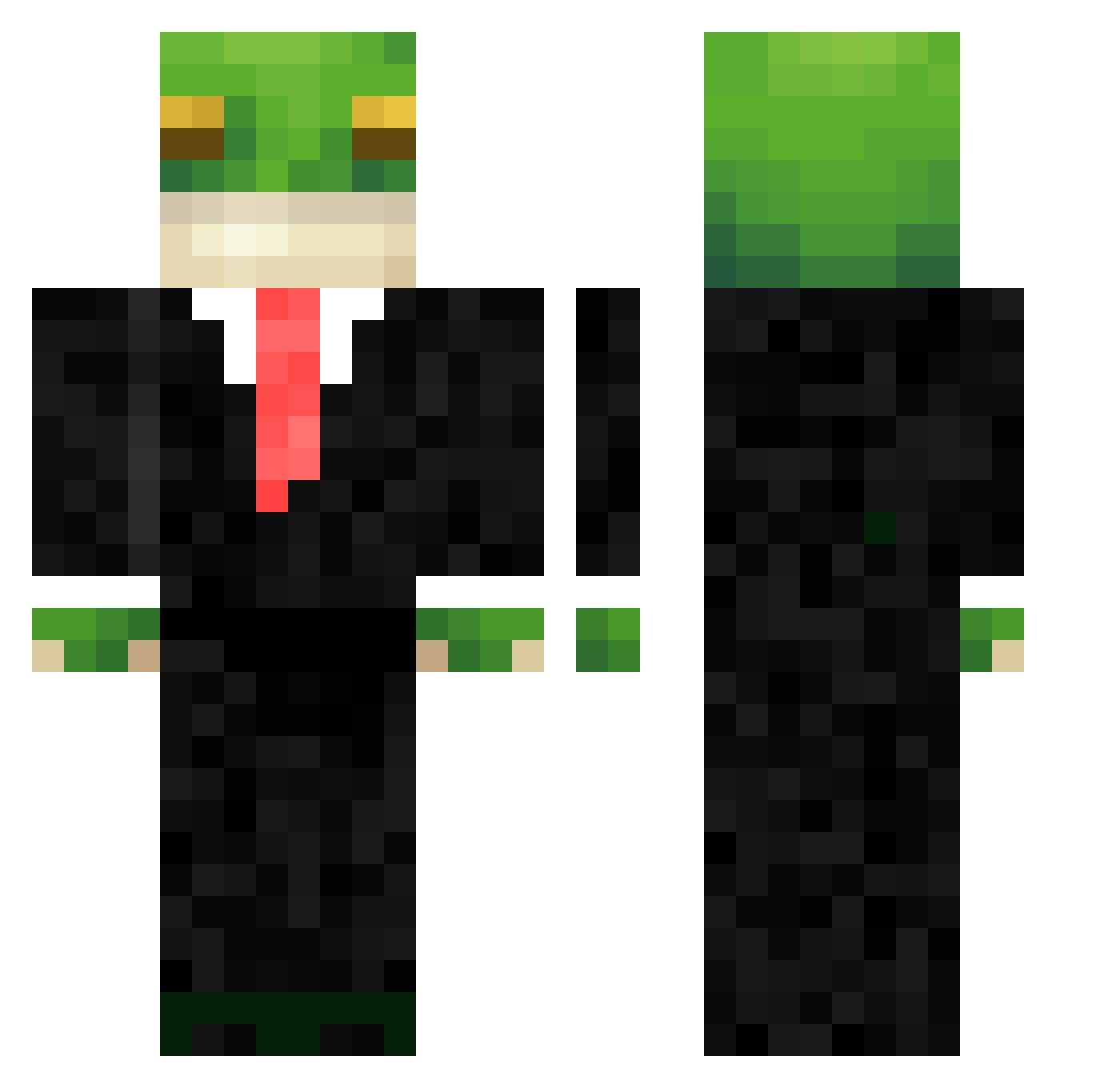wtthw Minecraft skin, front and back view
