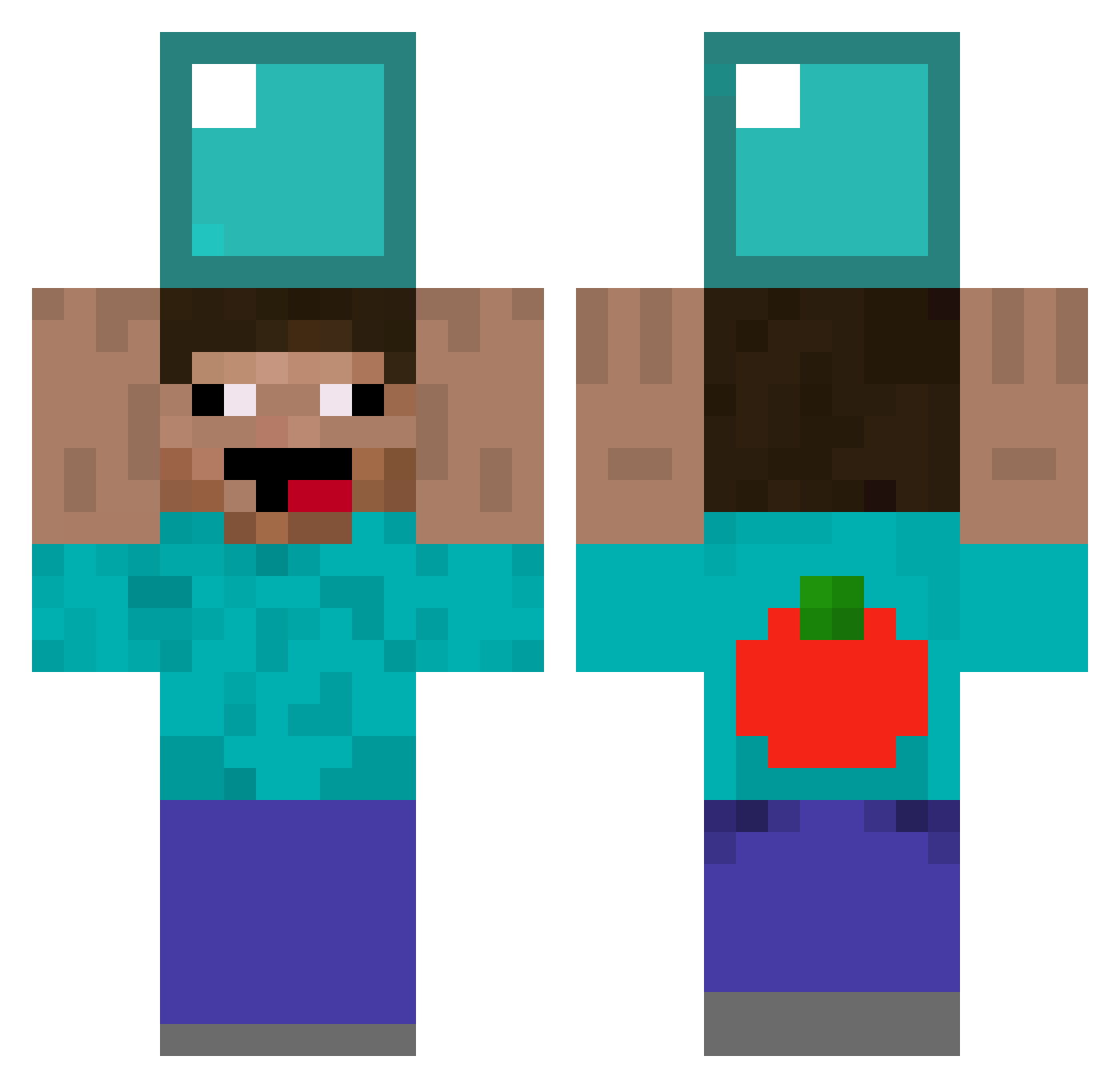 Ploisje Minecraft skin, front and back view