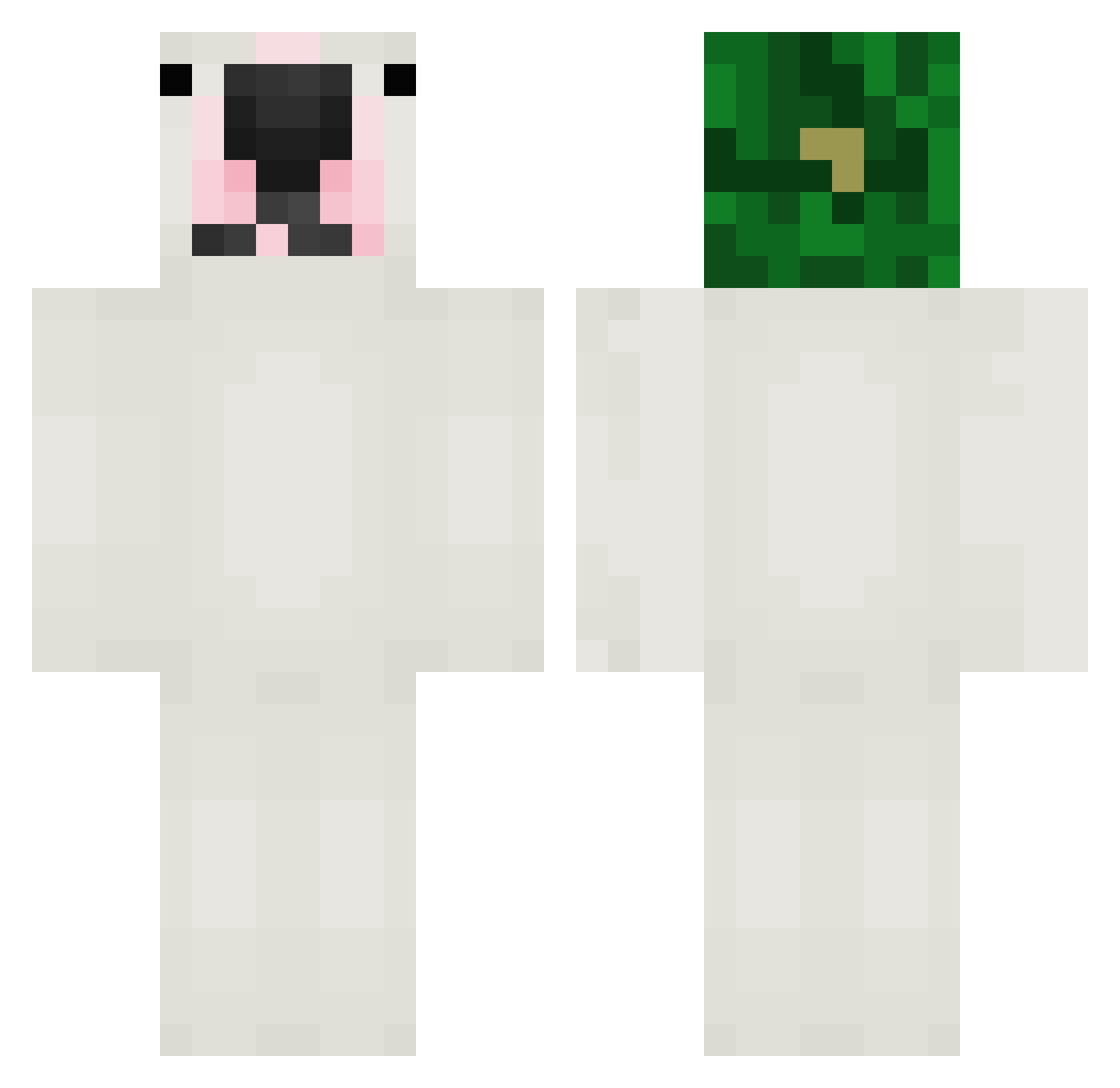 DogEnjoyer91 Minecraft skin, front and back view