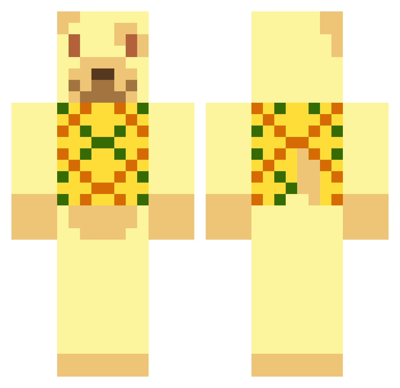 Raehye Minecraft skin, front and back view
