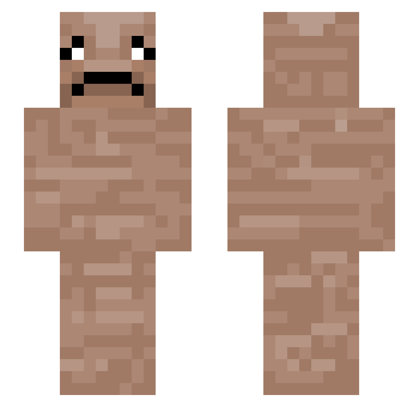 MRTACOWACO Minecraft skin, front and back view