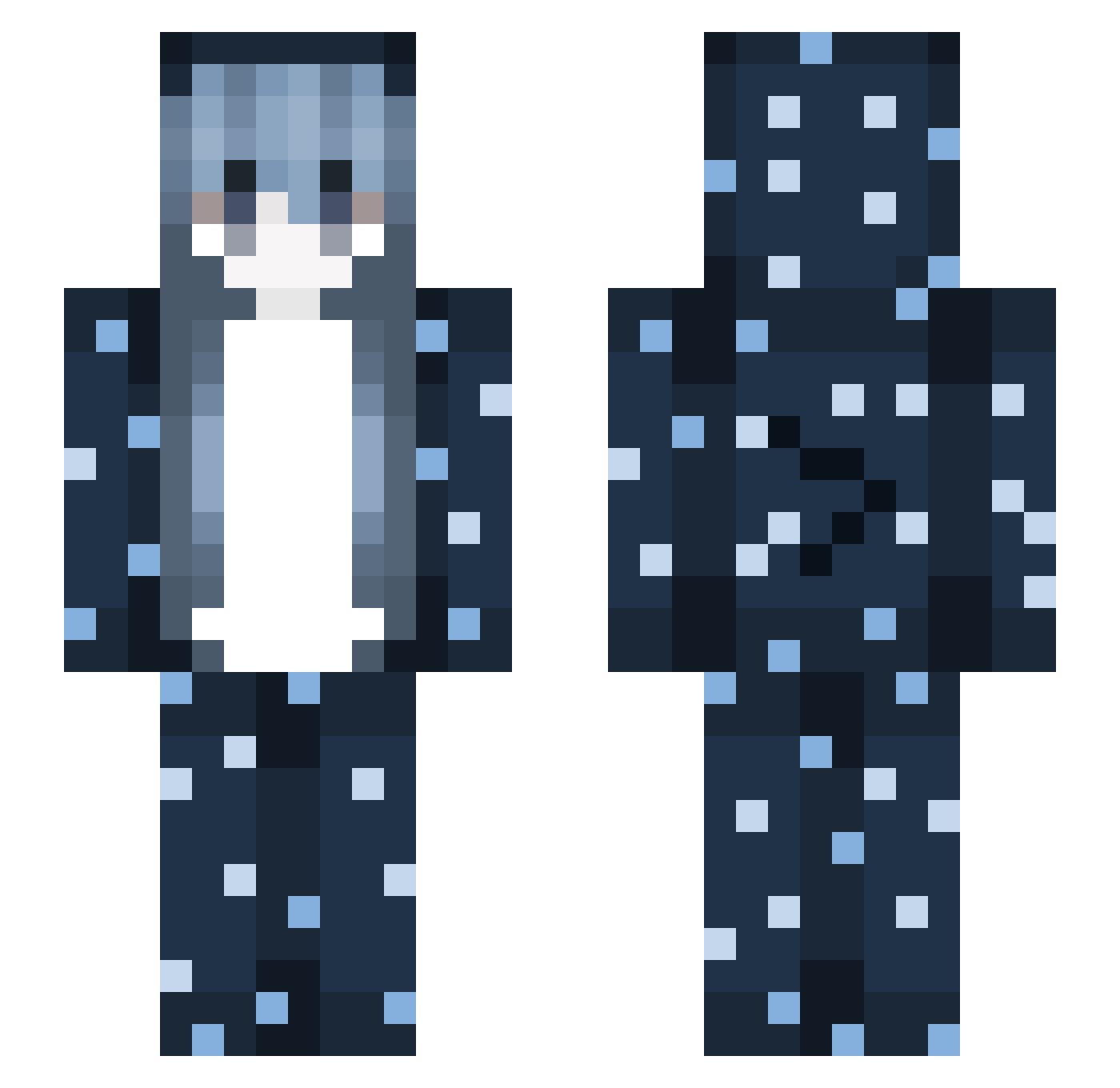 Unnamed_Noodle Minecraft skin, front and back view