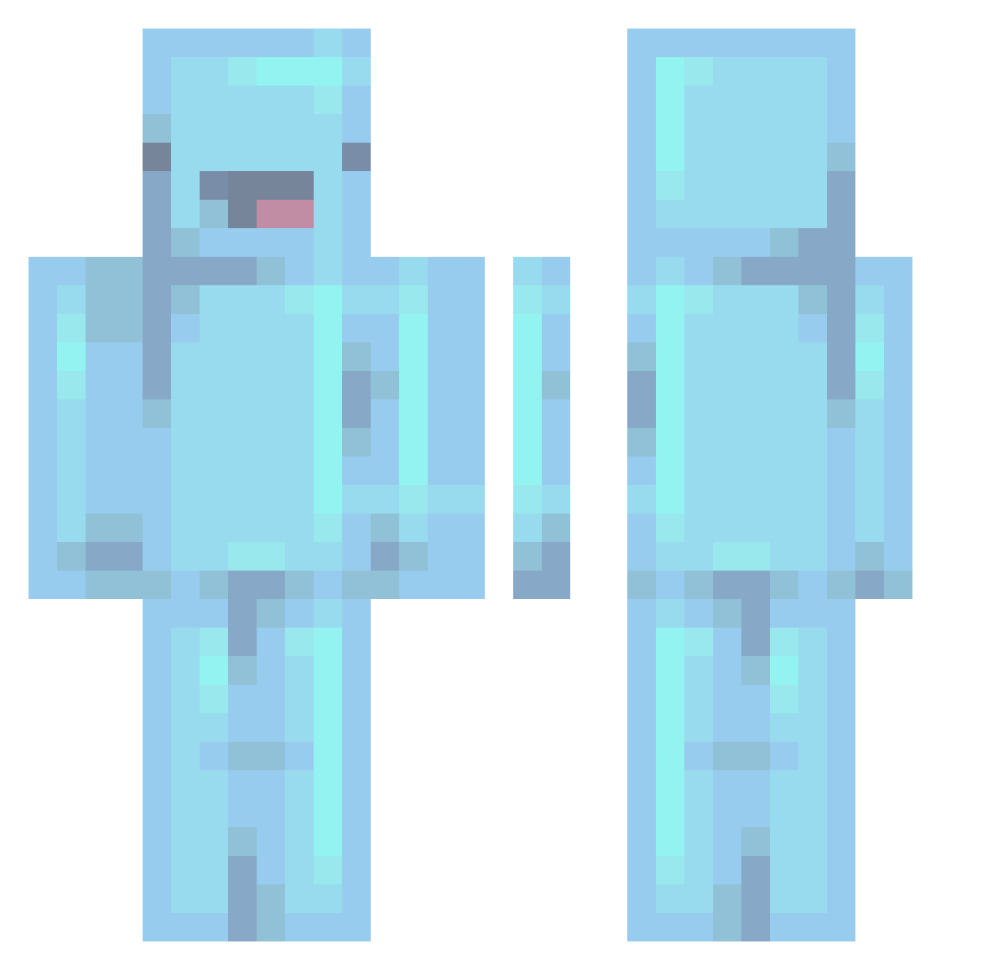 Ledird Minecraft skin, front and back view