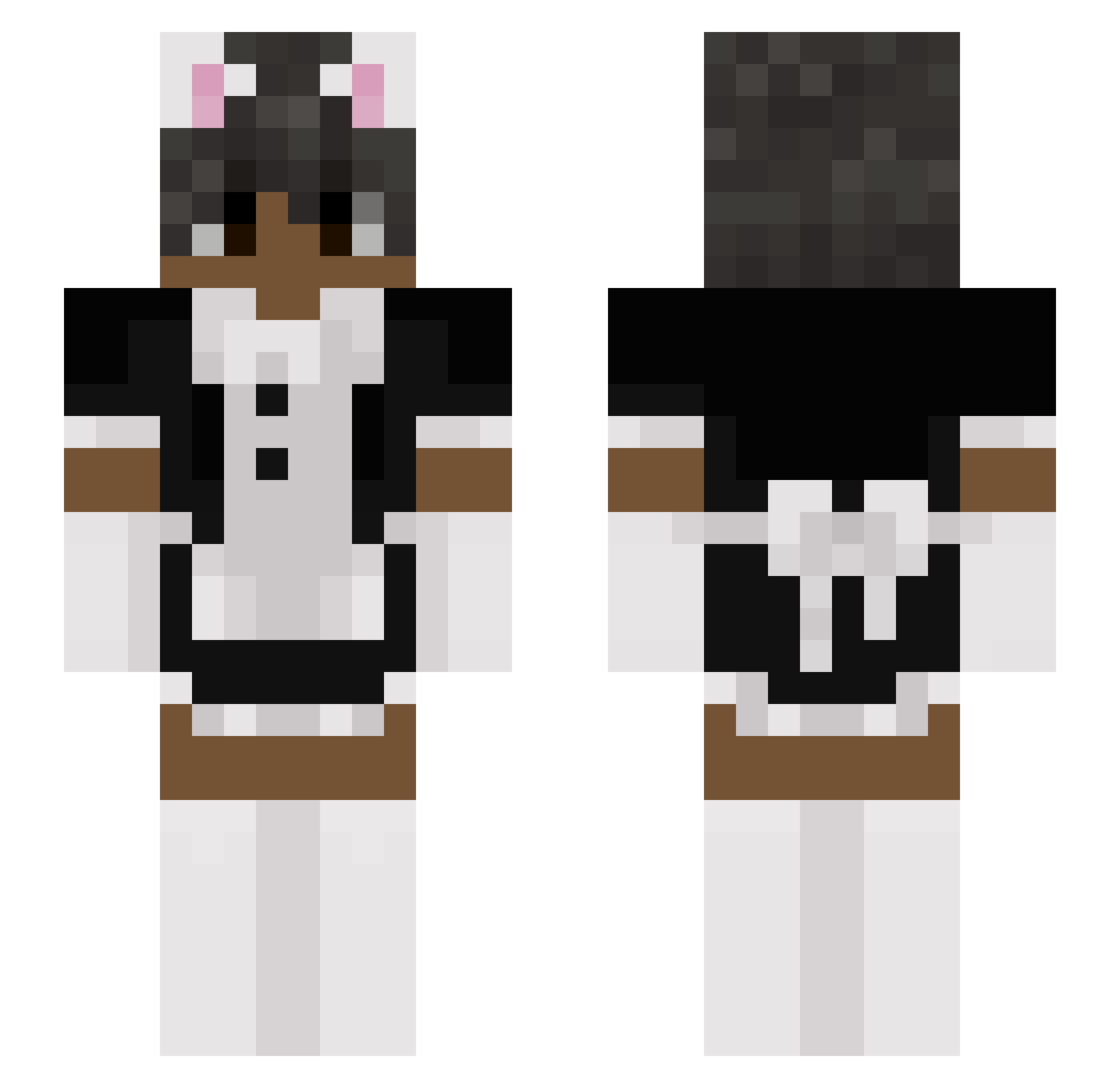 agace Minecraft skin, front and back view