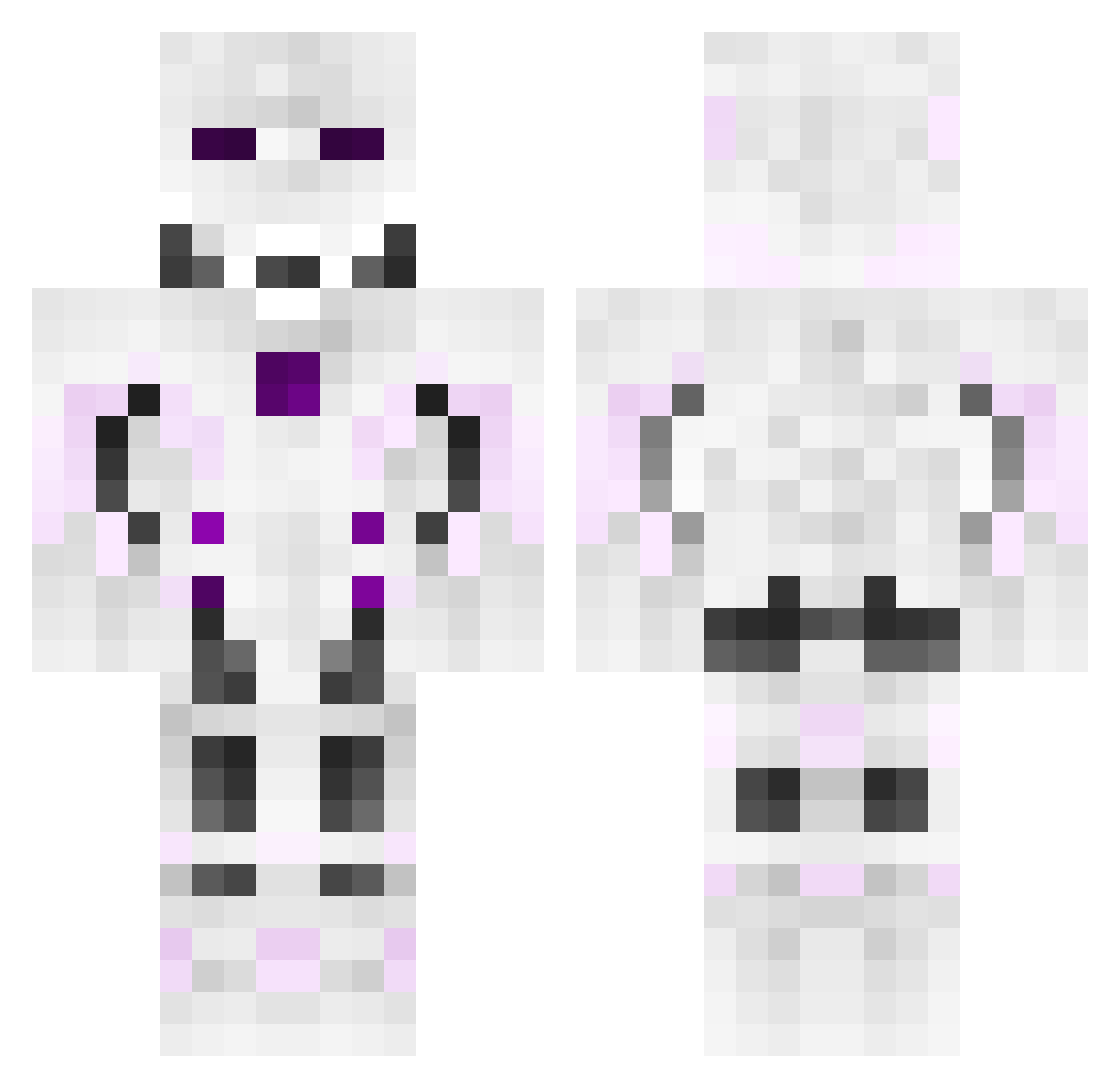 TerminatorVSF Minecraft skin, front and back view