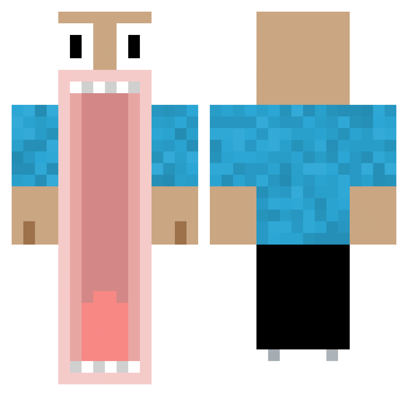 TurtleBites Minecraft skin, front and back view