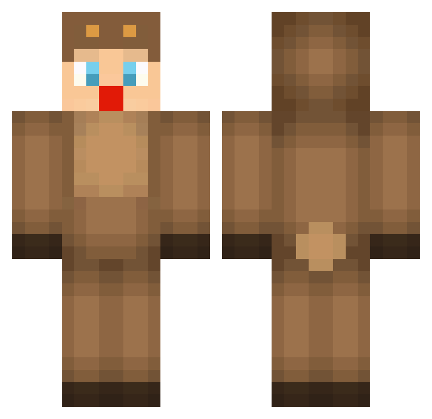 Tortuga1116 Minecraft skin, front and back view