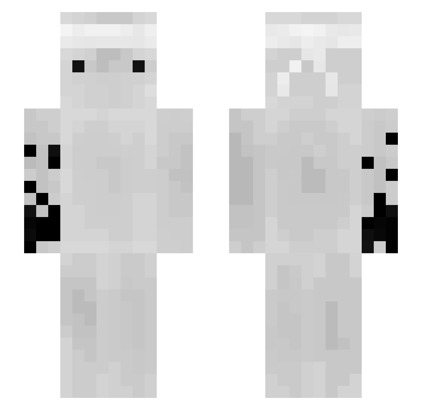 privaton Minecraft skin, front and back view