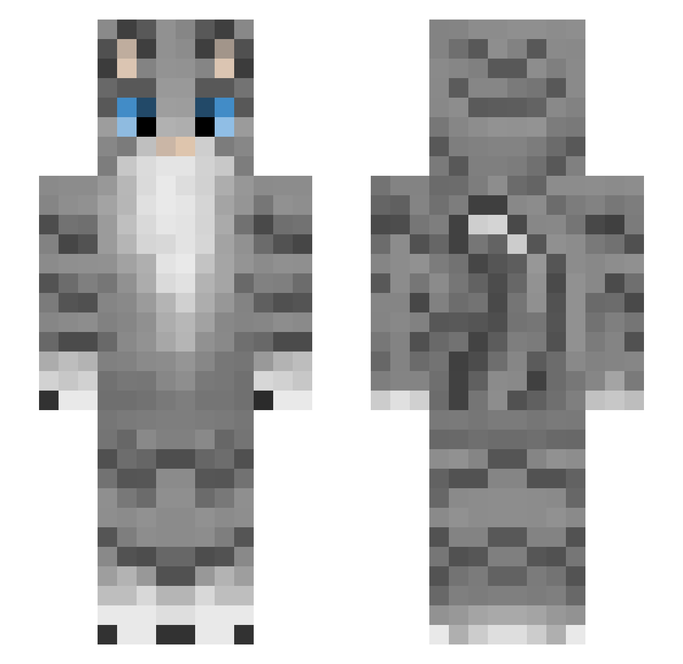 Recktors Minecraft skin, front and back view