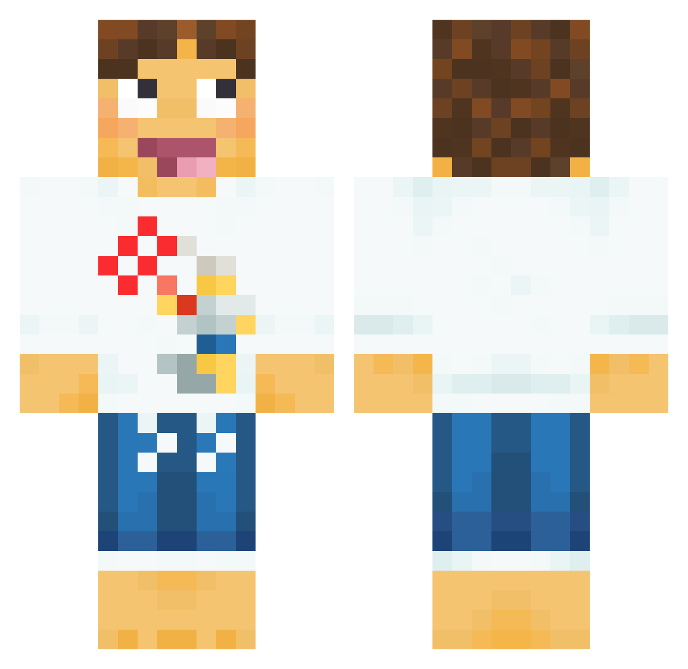 _Chocoo_ Minecraft skin, front and back view
