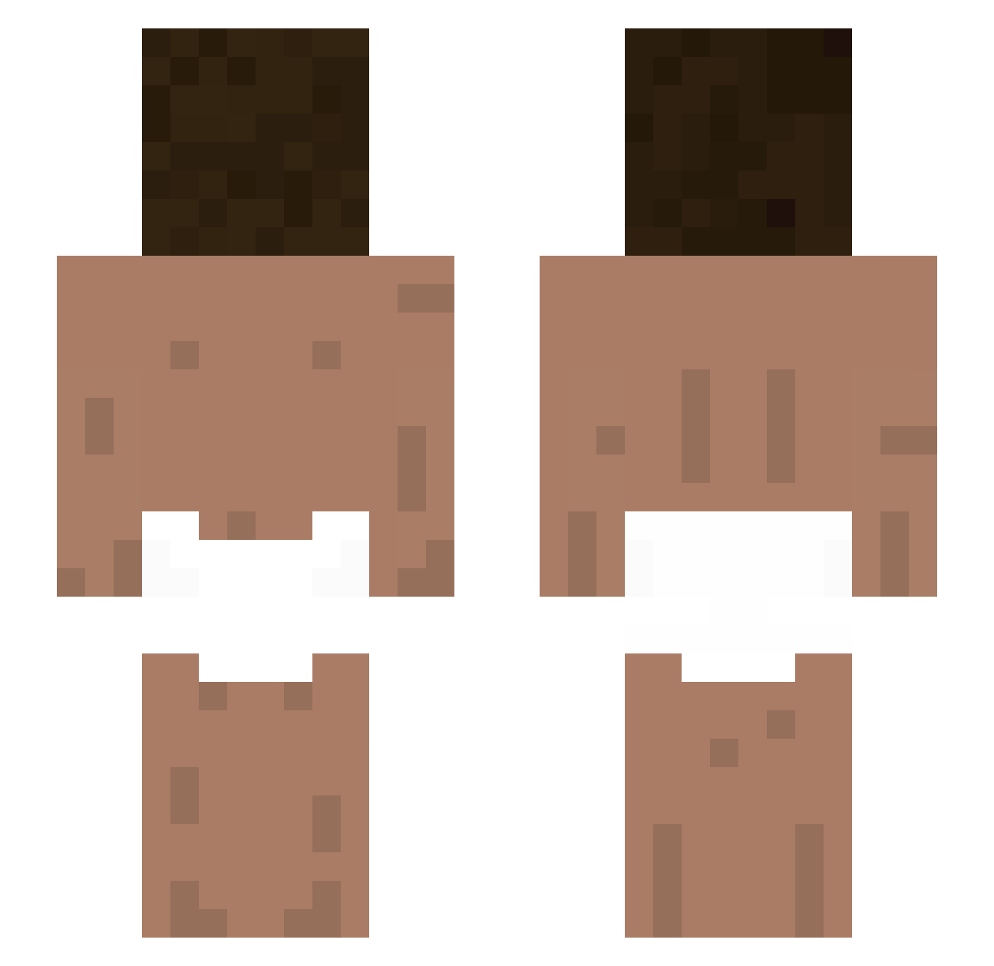 Zelonet Minecraft skin, front and back view