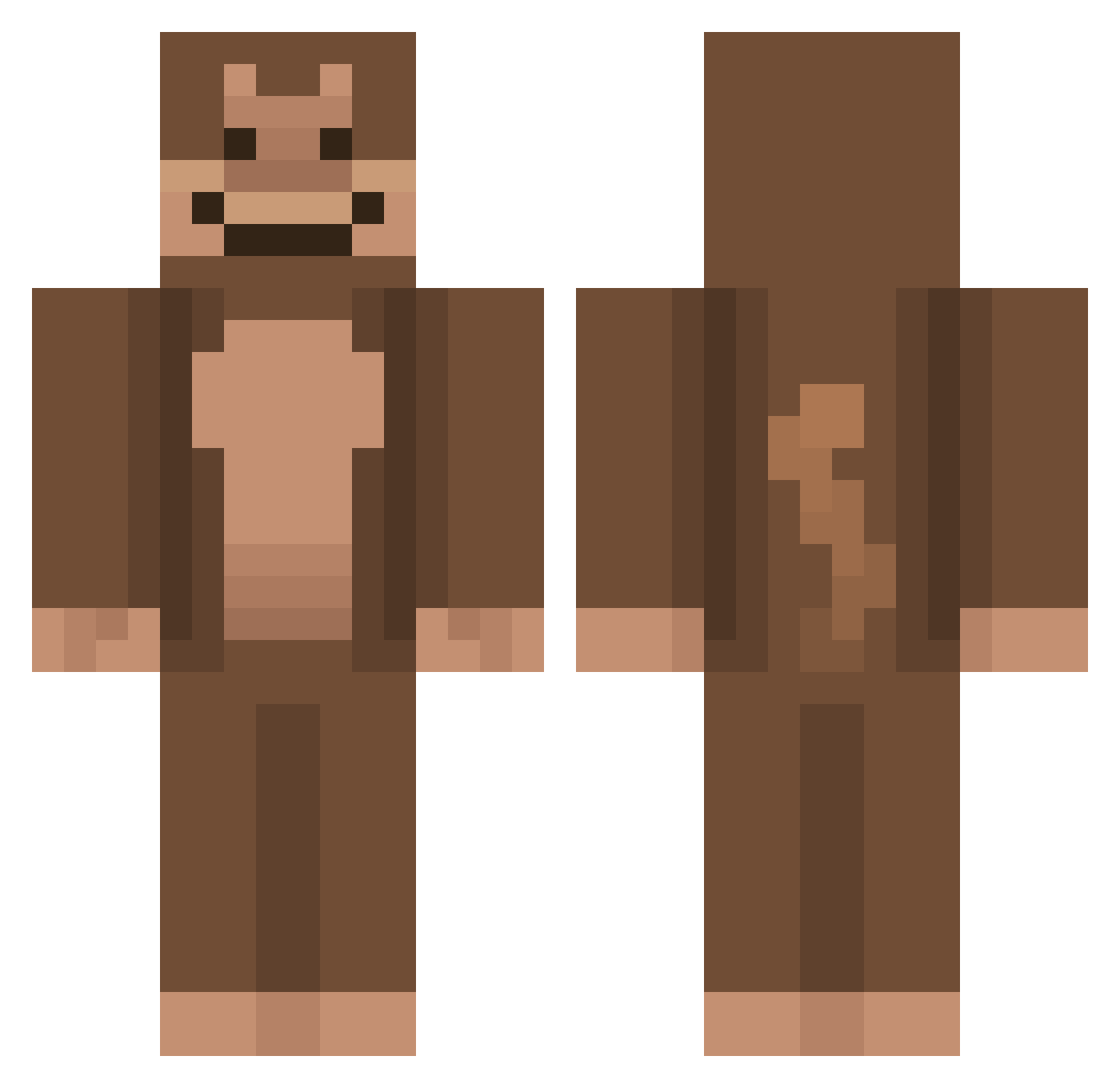 PlanerTraveler Minecraft skin, front and back view