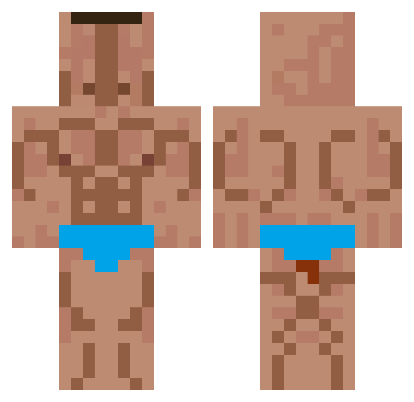 SHOBSTY Minecraft skin, front and back view