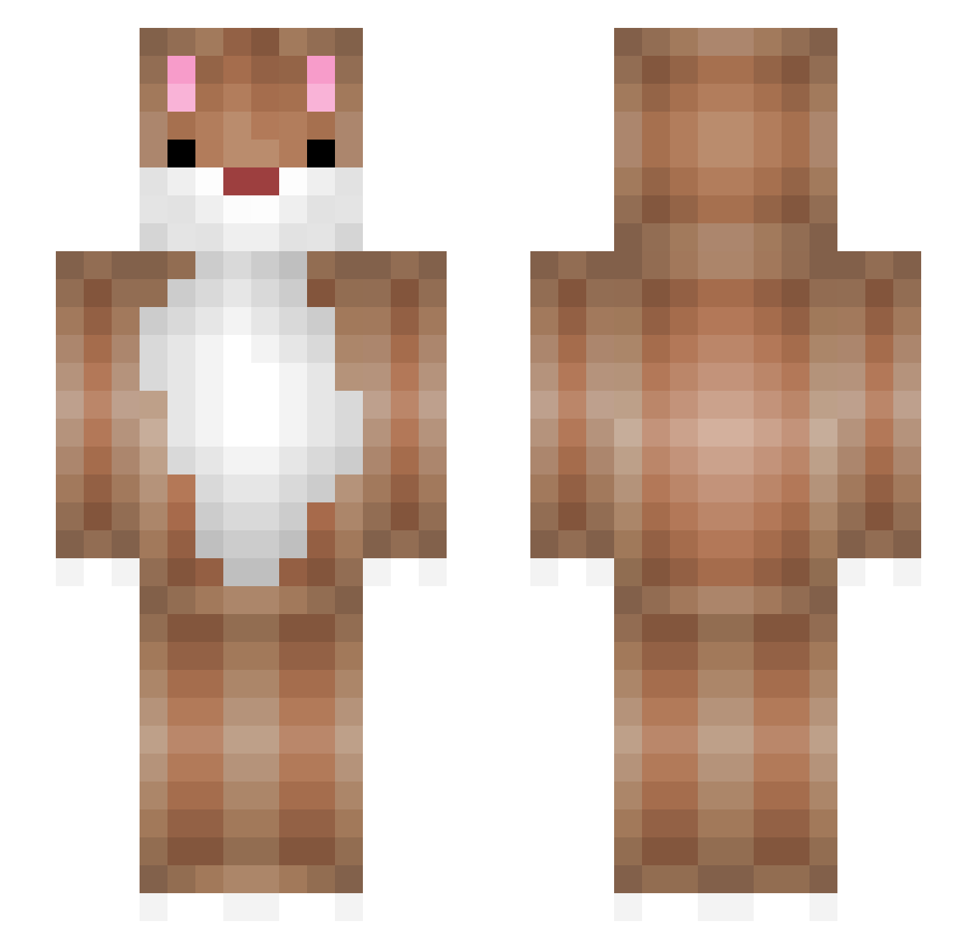 Jibbe10 Minecraft skin, front and back view