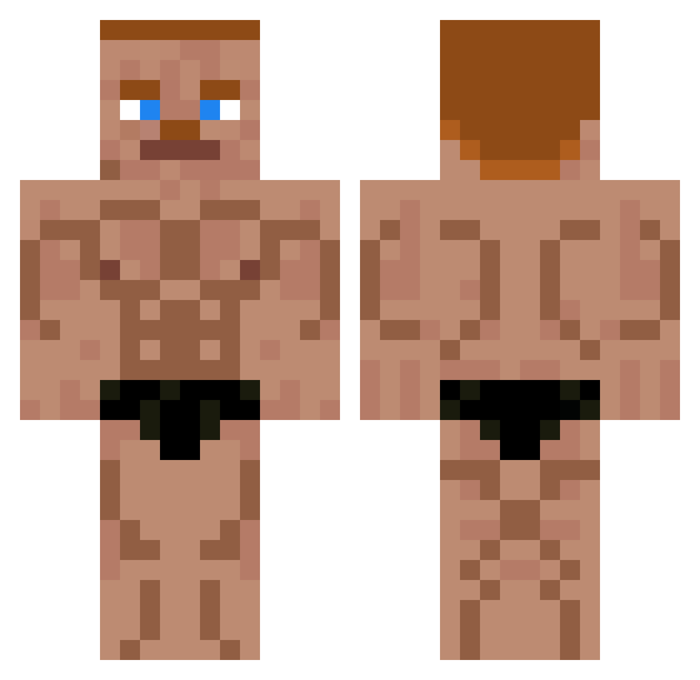 Teddiev Minecraft skin, front and back view
