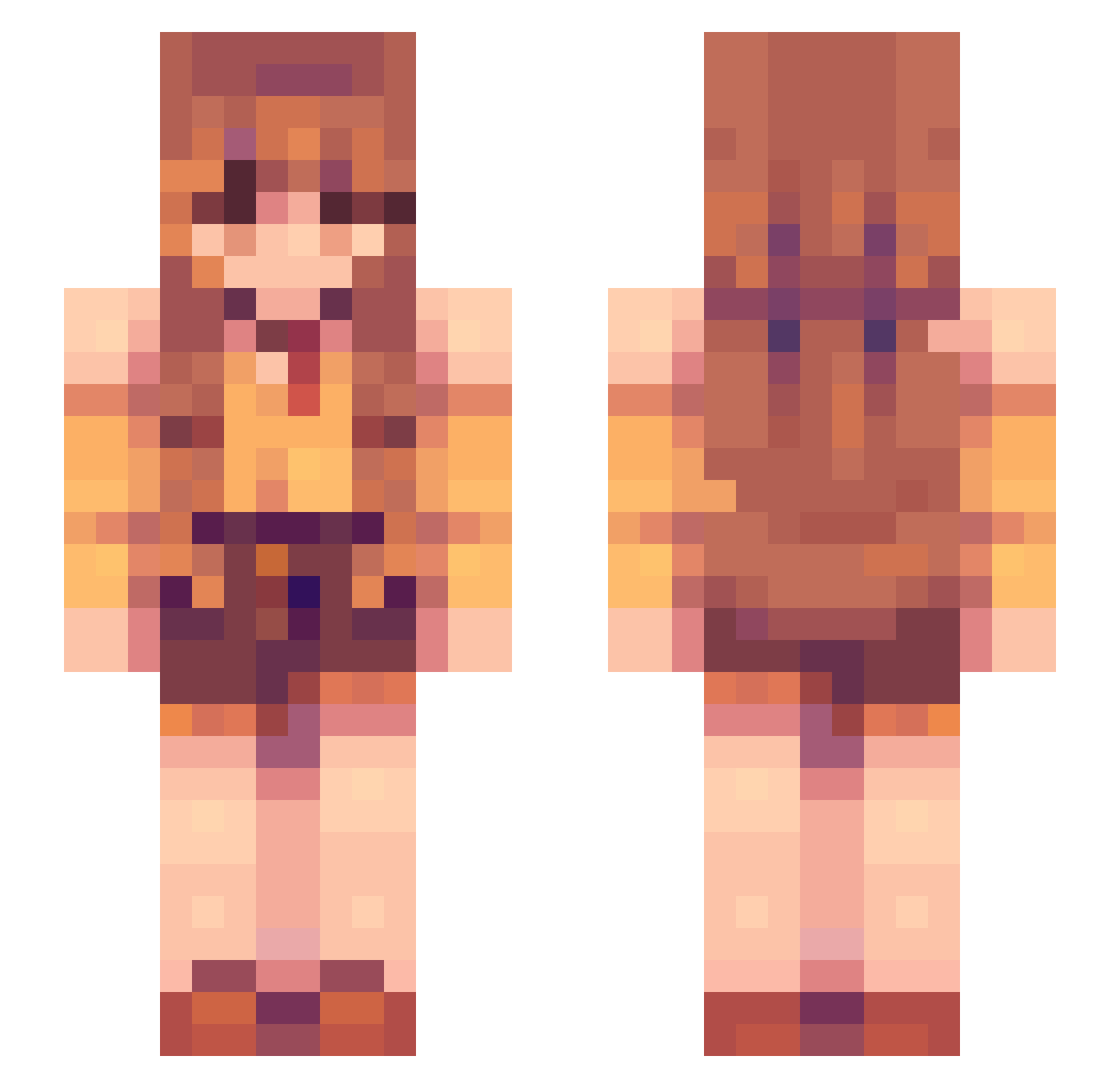 Thelion176 Minecraft skin, front and back view
