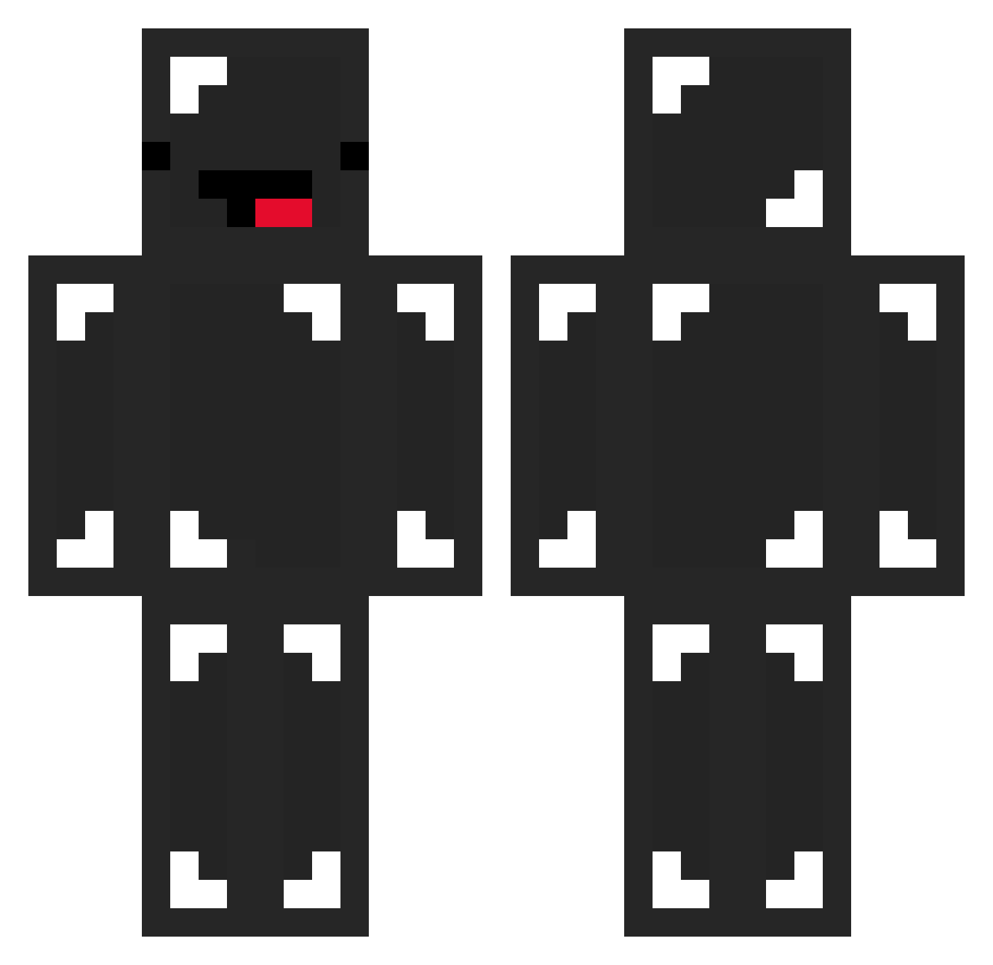 Samseguin Minecraft skin, front and back view