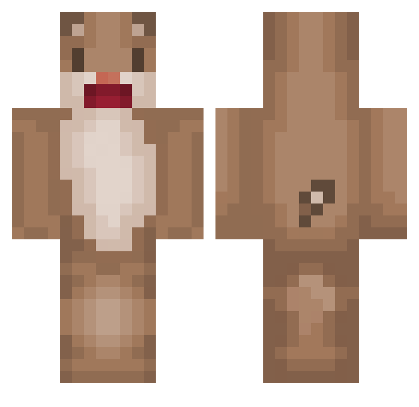 Ham_zzang Minecraft skin, front and back view