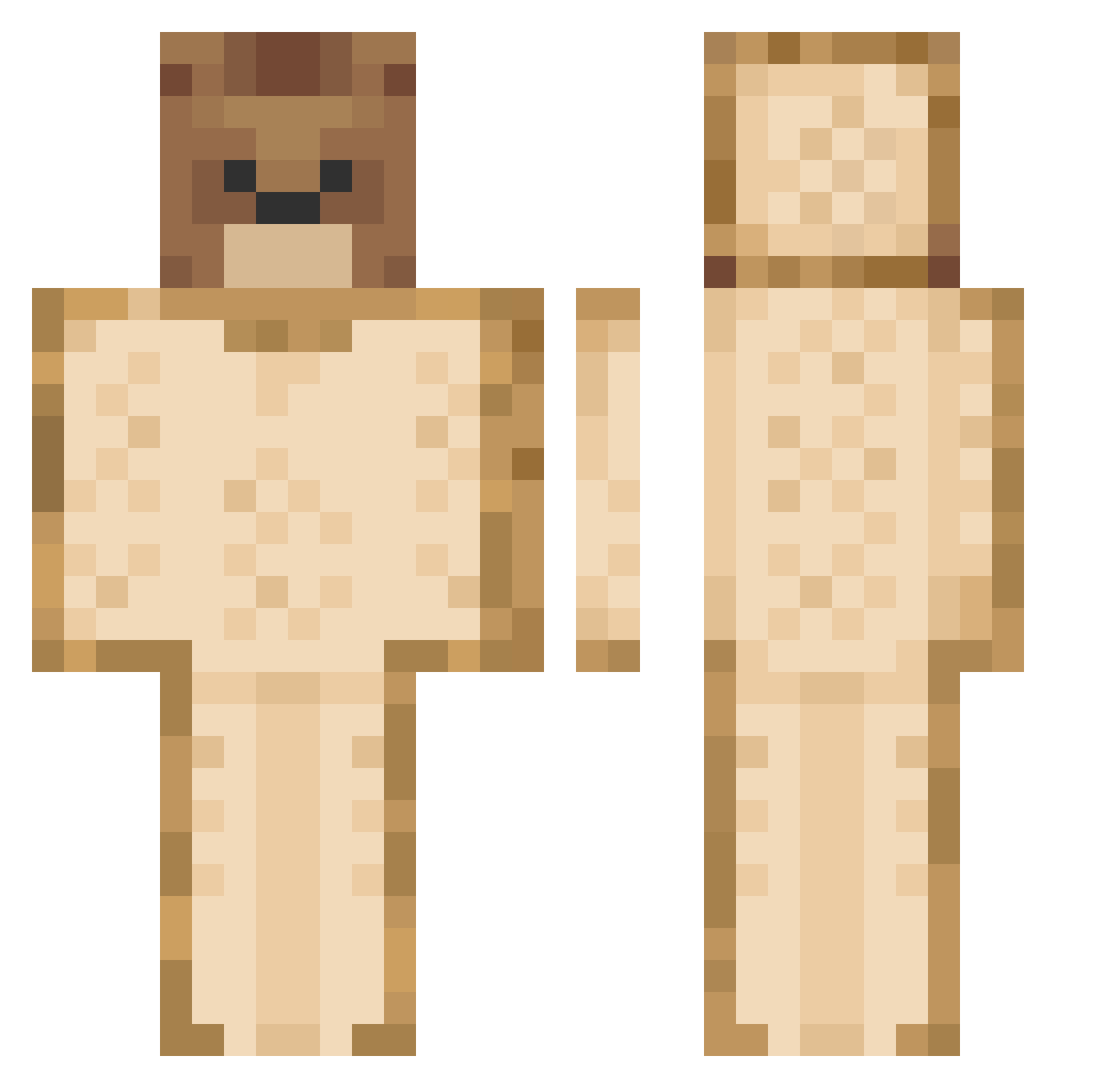 WqterBottle Minecraft skin, front and back view