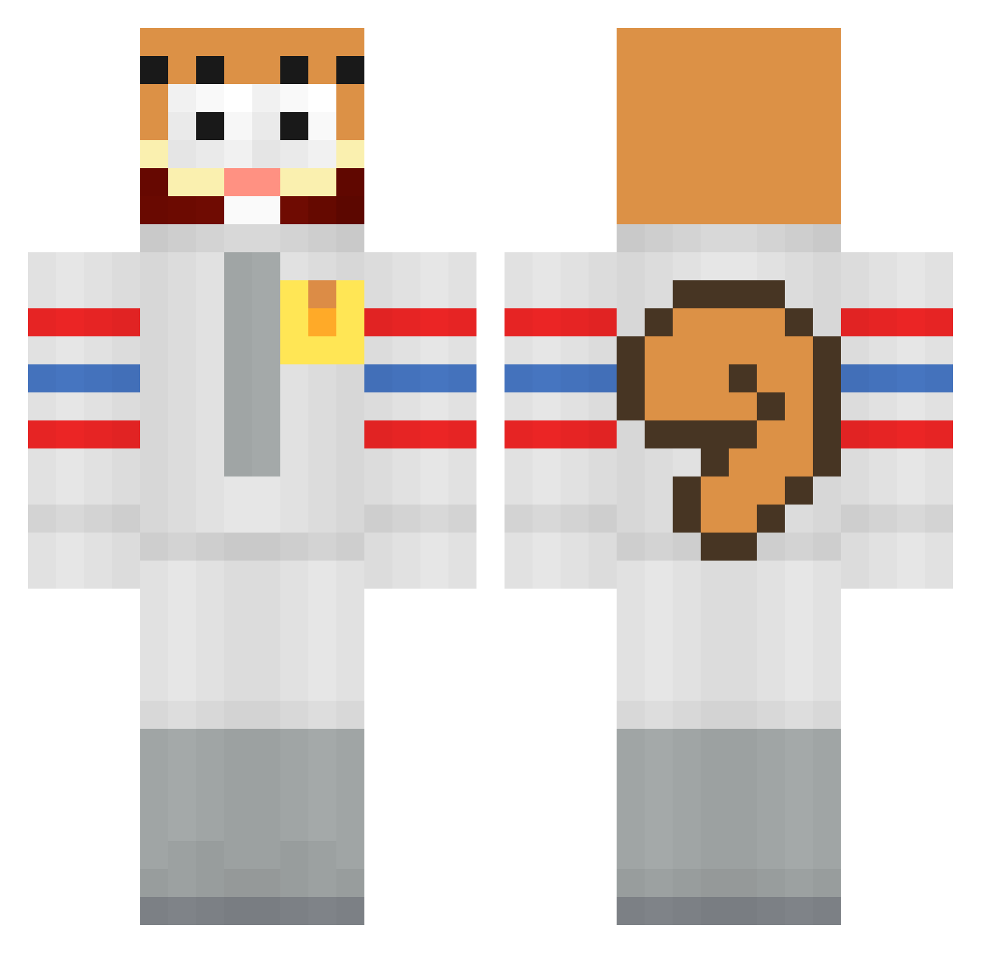 pizzachicken Minecraft skin, front and back view