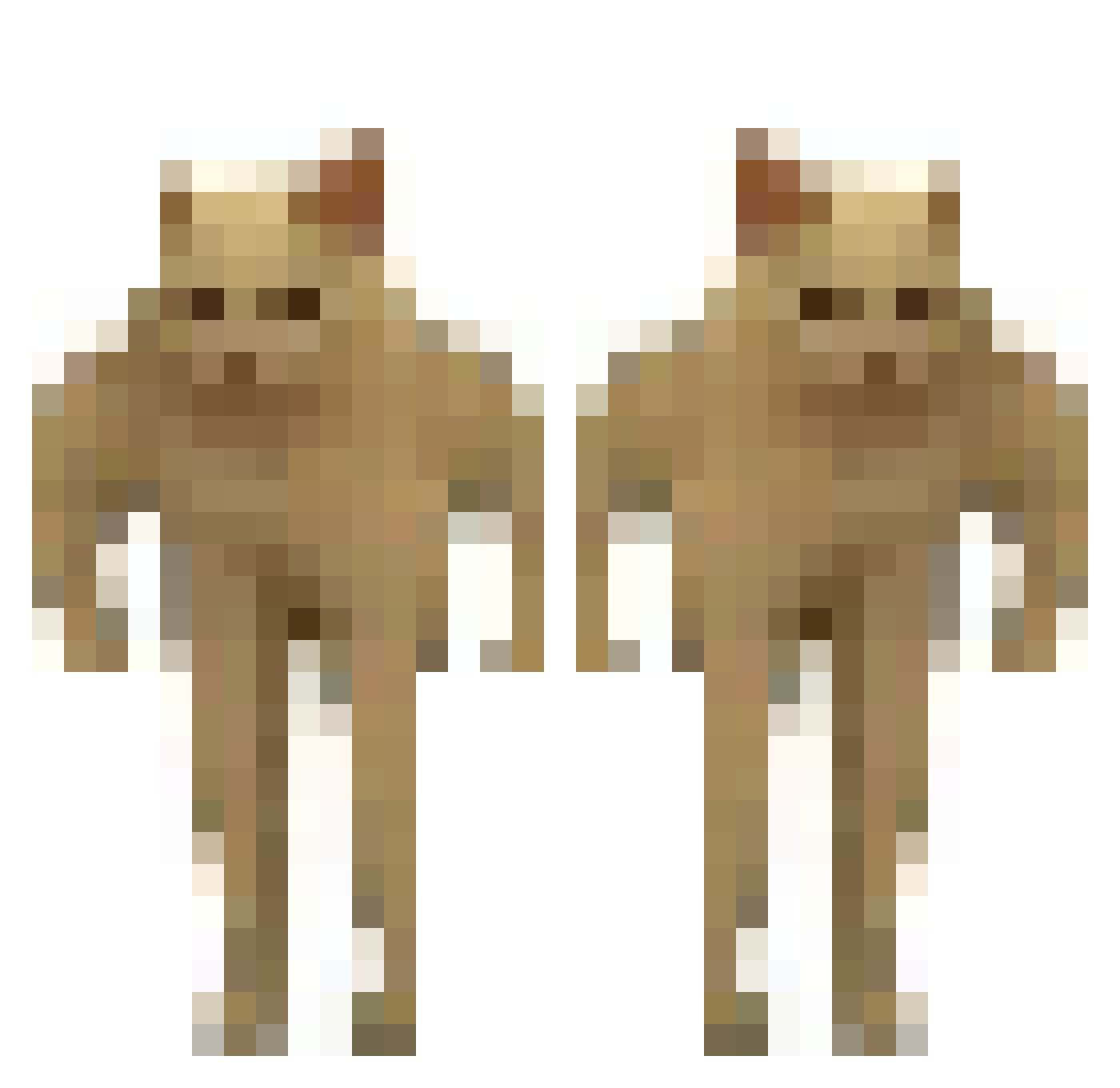 LeFoulanguois Minecraft skin, front and back view