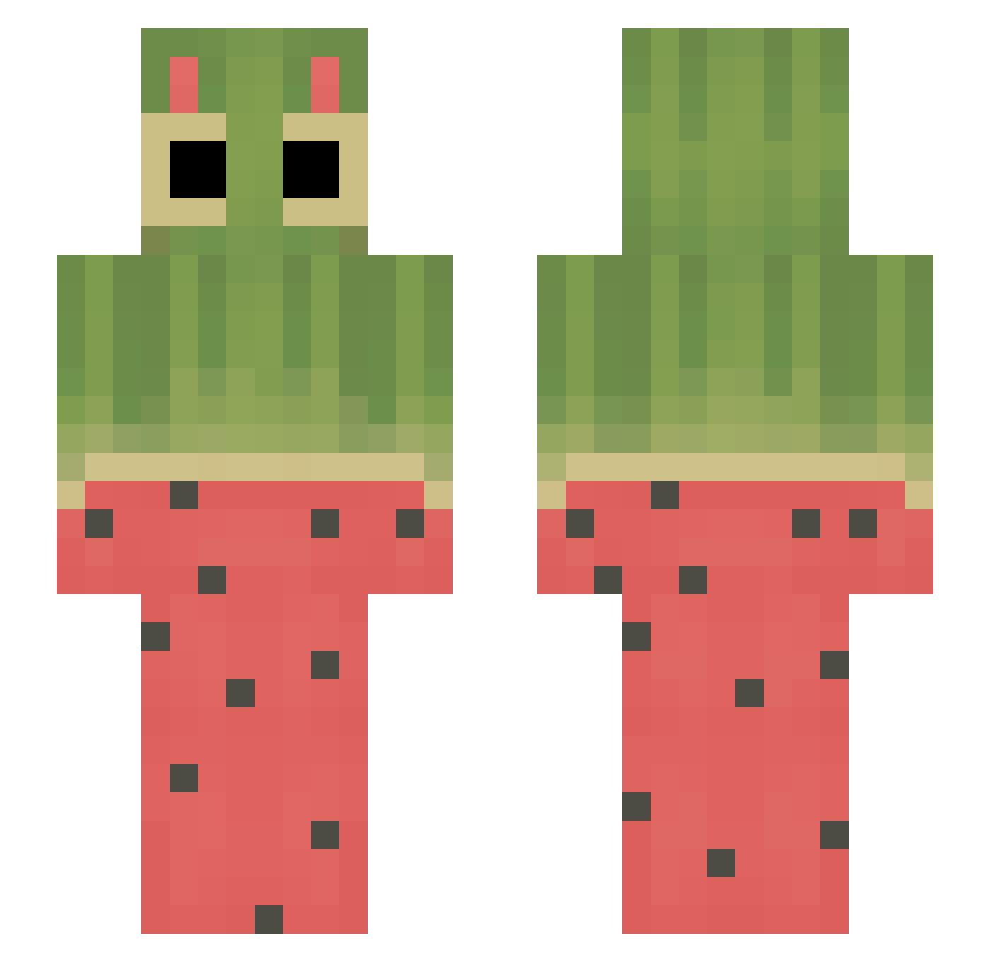 mycatgoober Minecraft skin, front and back view