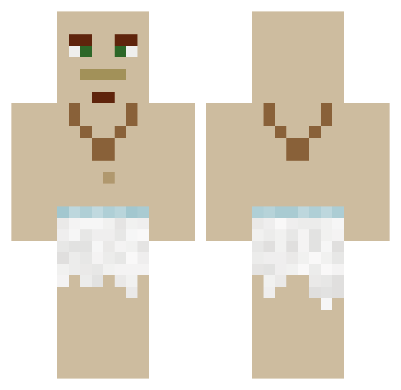 Nobious Minecraft skin, front and back view