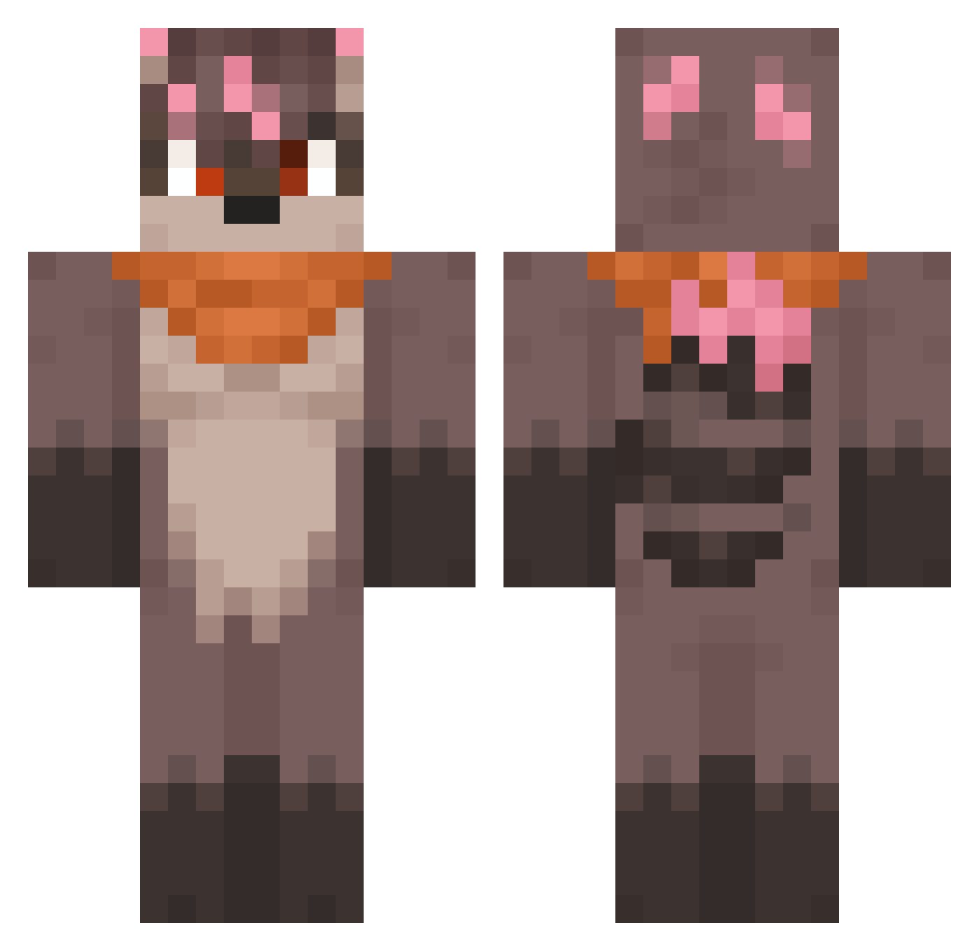 e_raccoon Minecraft skin, front and back view