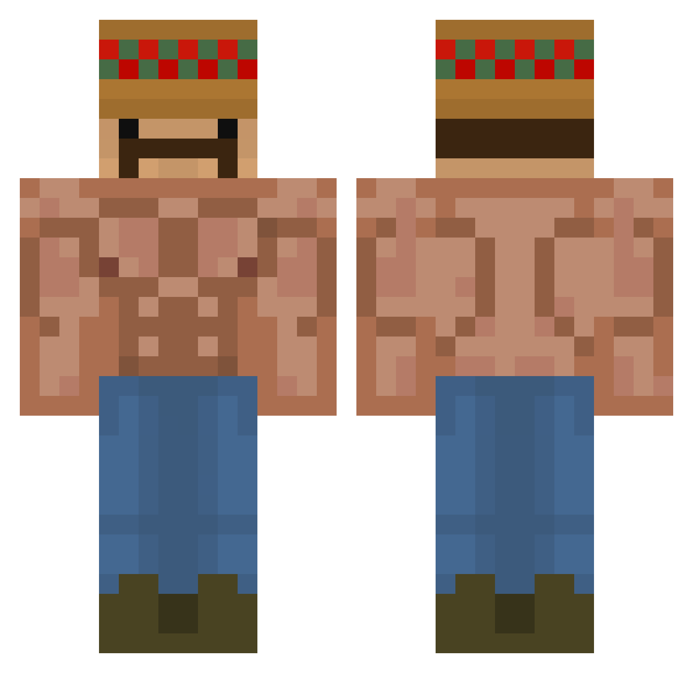 Brcflow Minecraft skin, front and back view