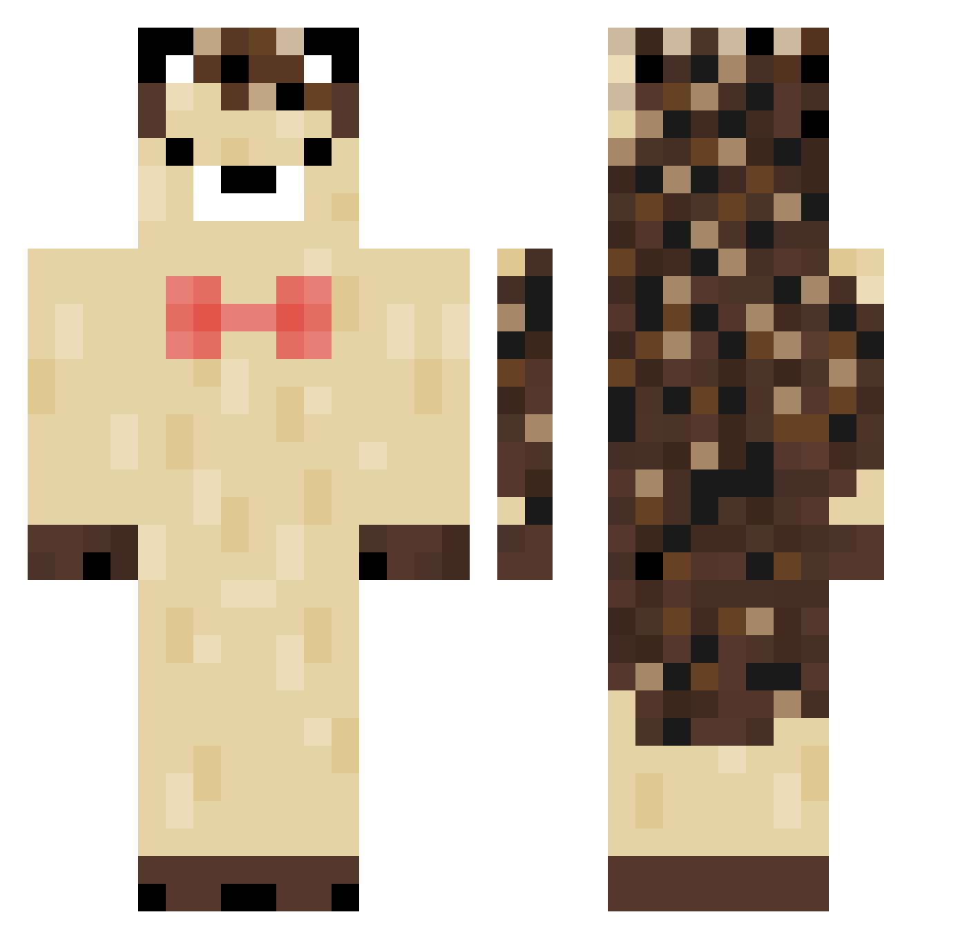 enterobiasis Minecraft skin, front and back view