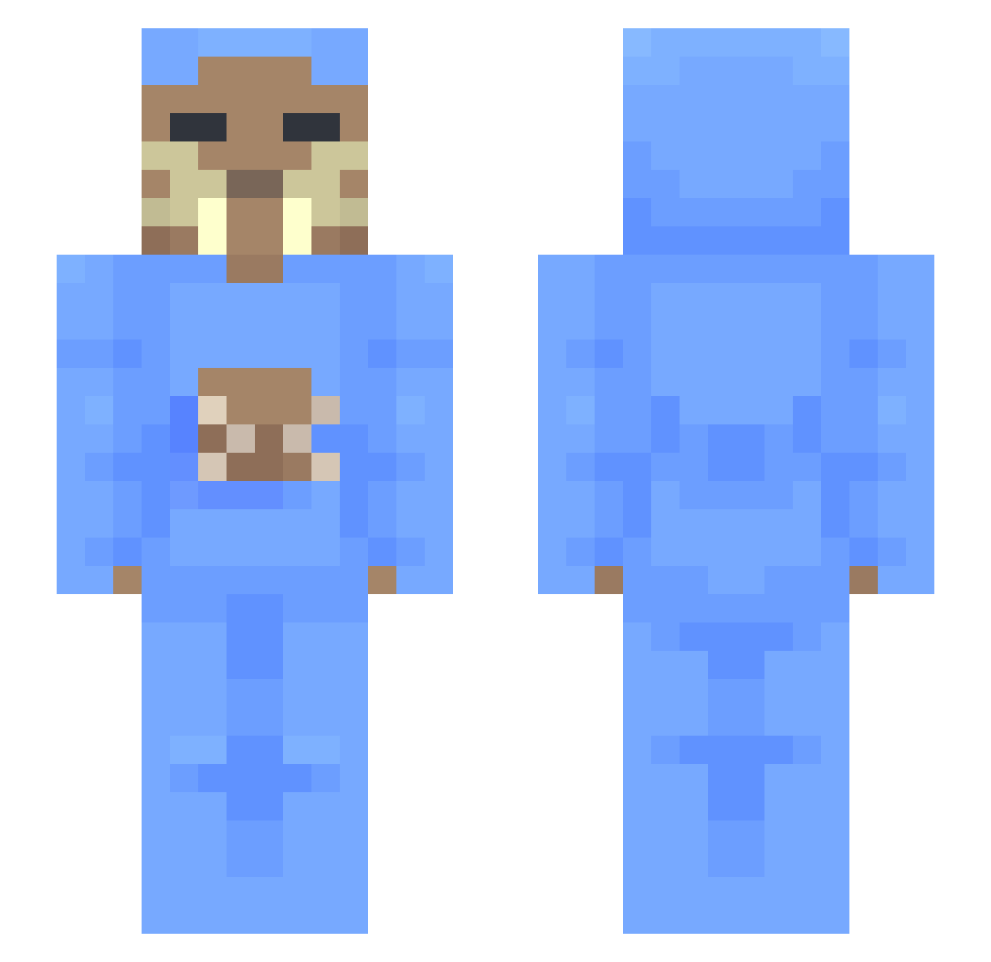 Walrus Minecraft skin, front and back view