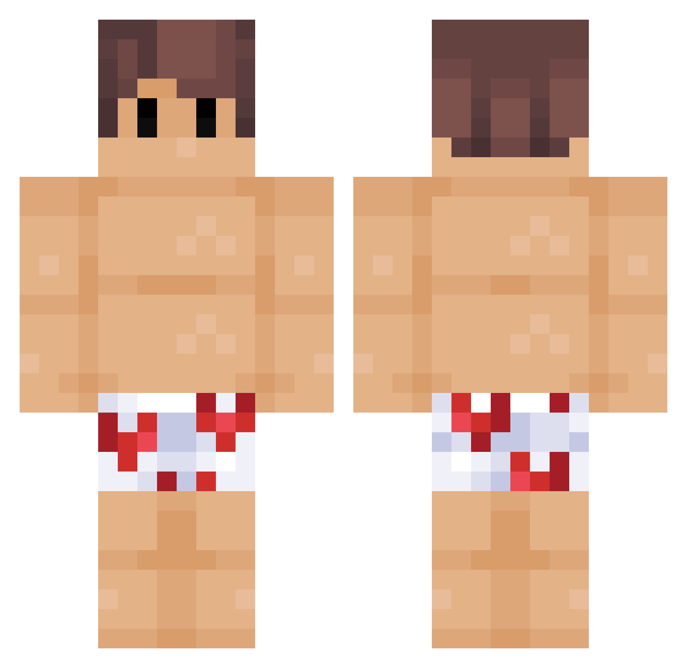 DingusMcbringus Minecraft skin, front and back view