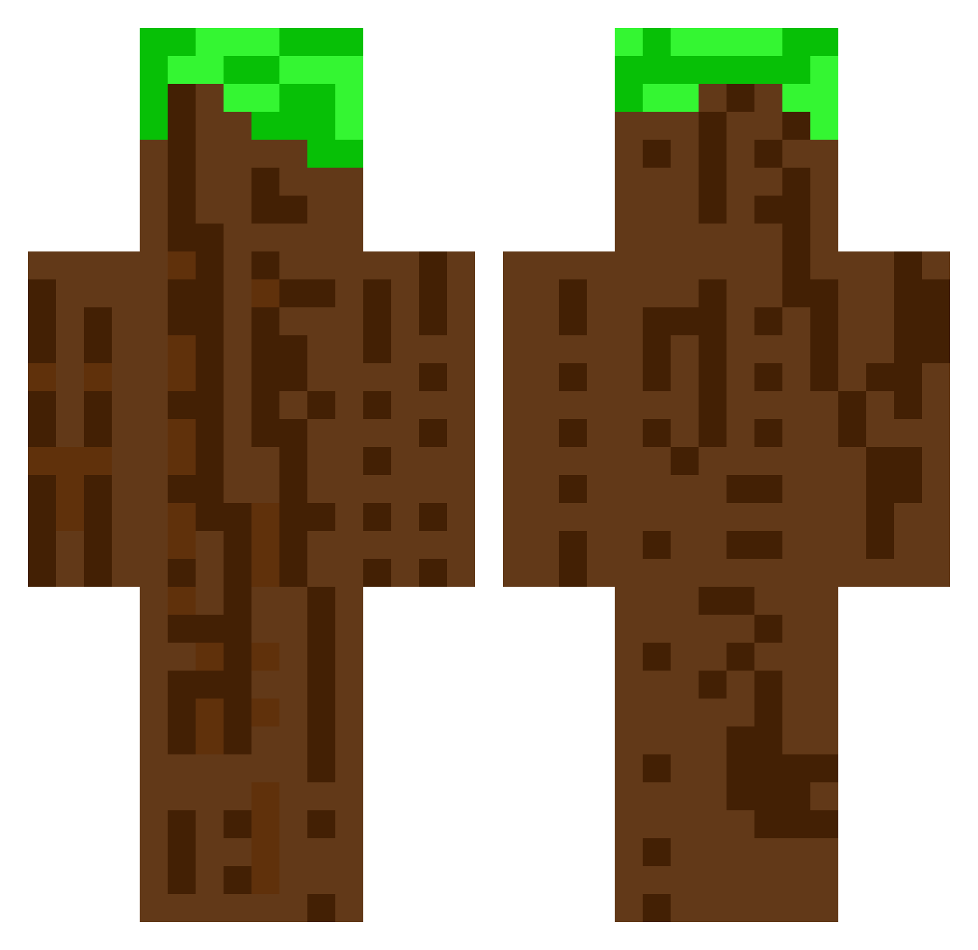 APS_WAHU Minecraft skin, front and back view