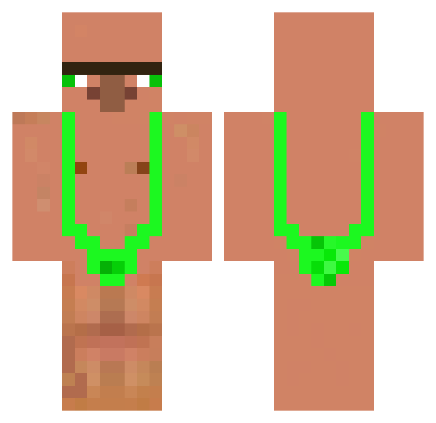 codfisha Minecraft skin, front and back view
