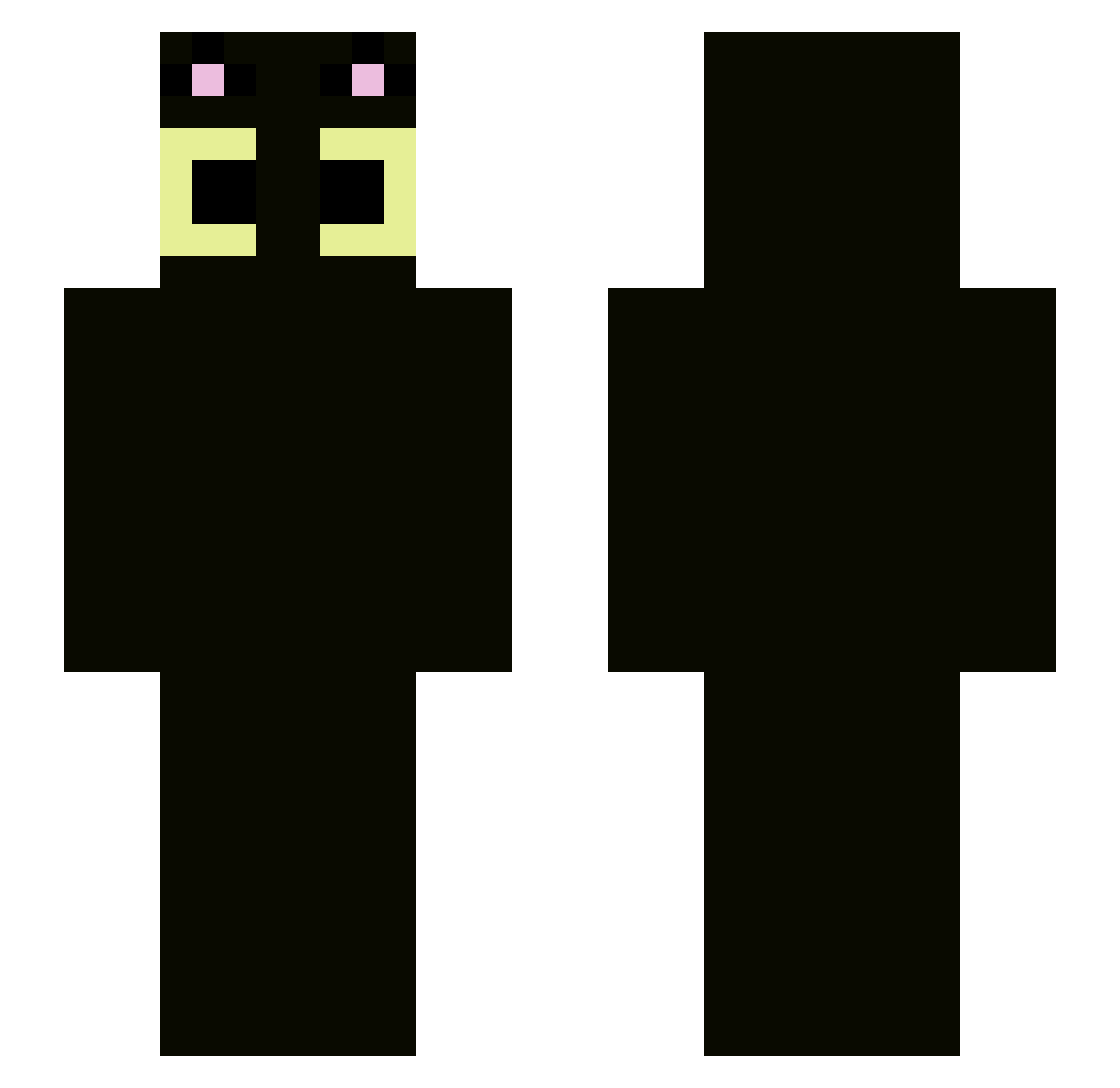 SquirrelDancing Minecraft skin, front and back view