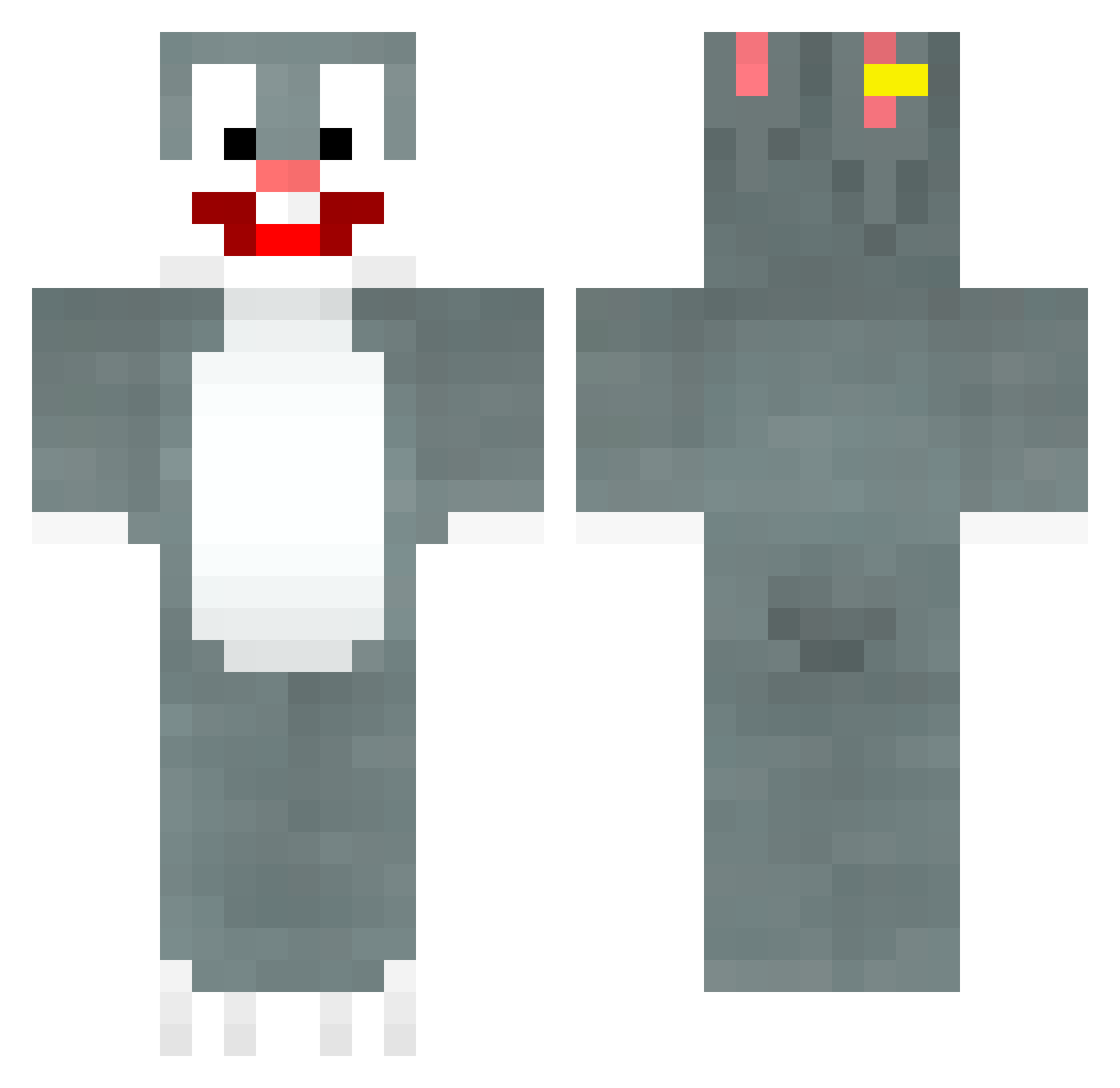 Liochii Minecraft skin, front and back view