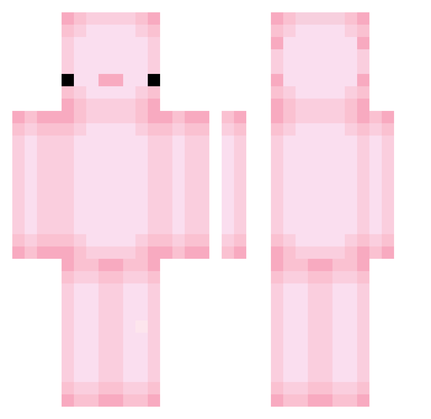 FlipNotFlag Minecraft skin, front and back view