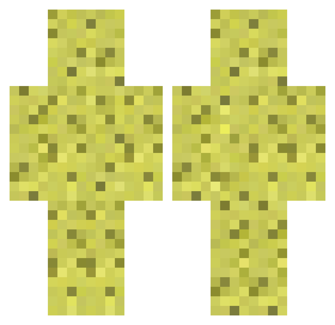 plaetini Minecraft skin, front and back view